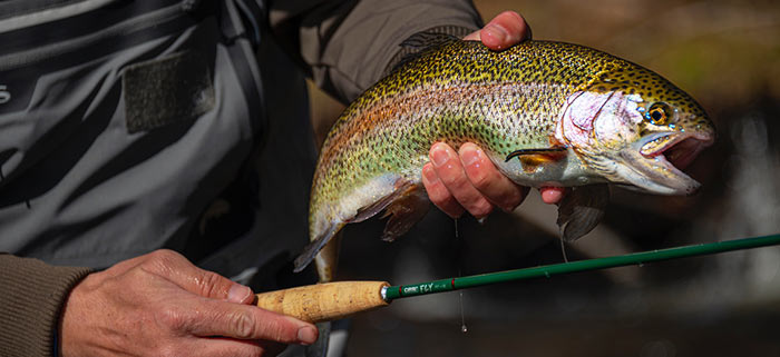Build a Color Fly Rod with CRB on Vimeo