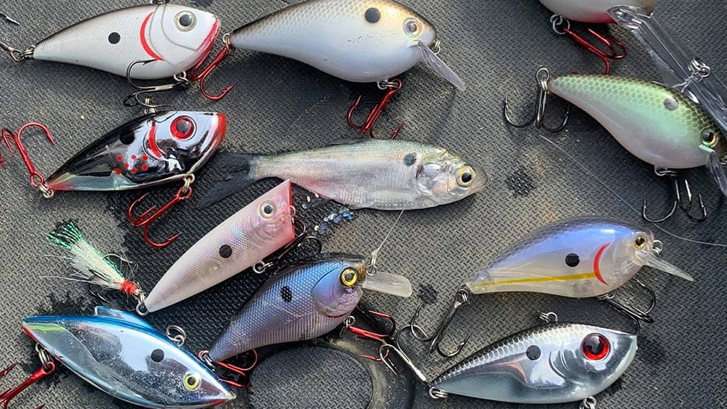 The Crankbait Controversy: Are You Using the Wrong Action?