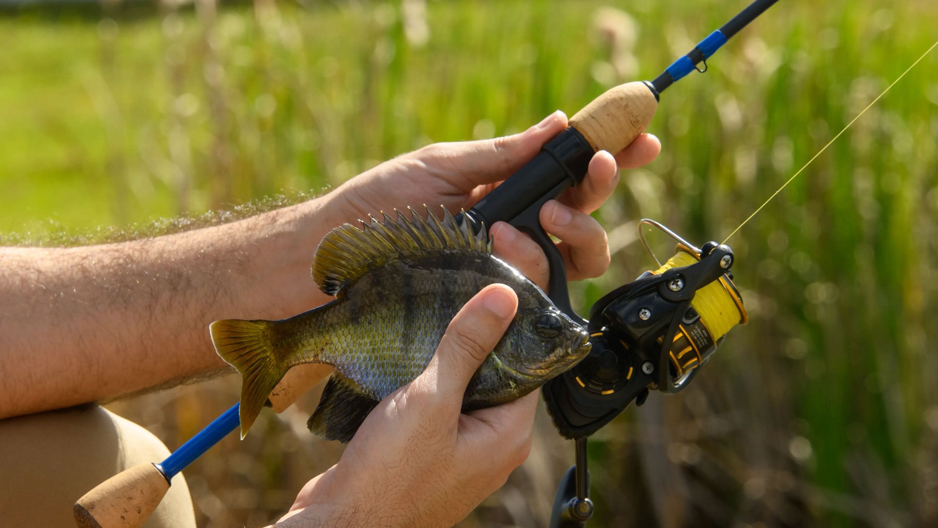 Crappie, Panfish, Trout Rod Kits