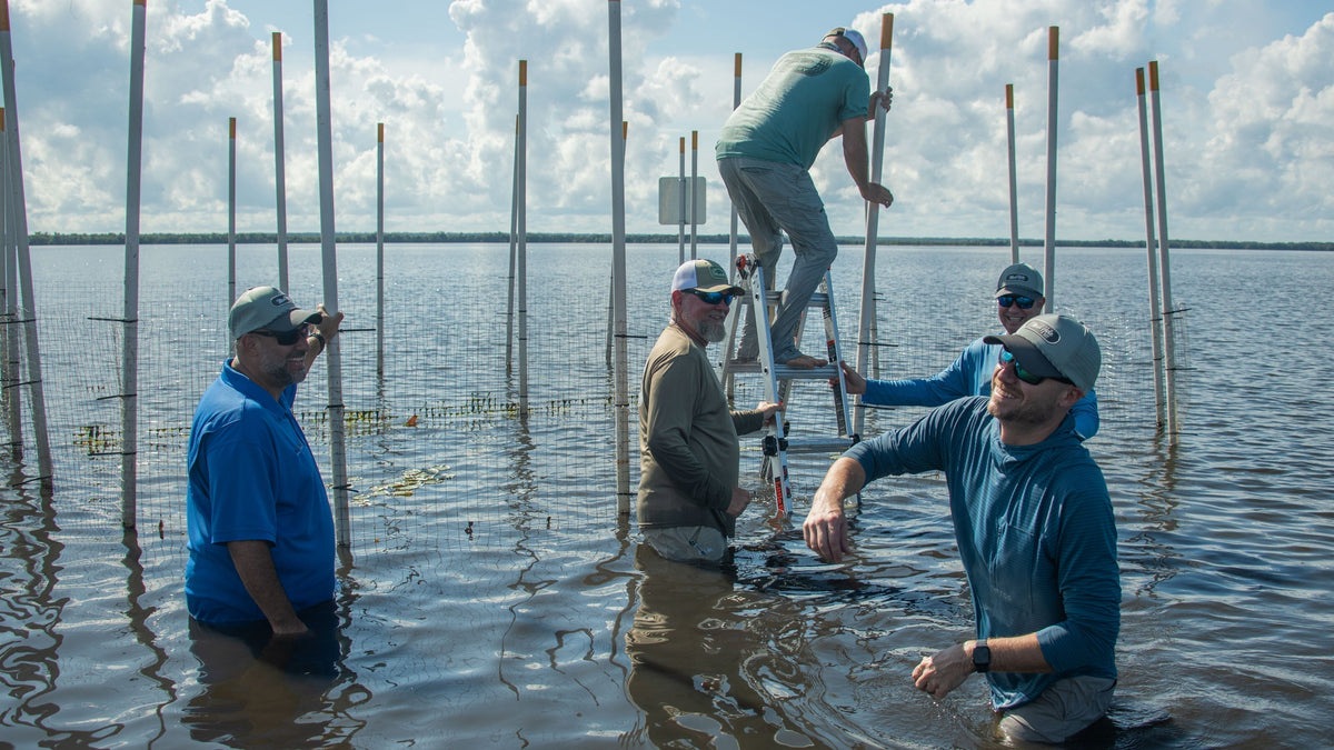 Mighty River Recovery Update