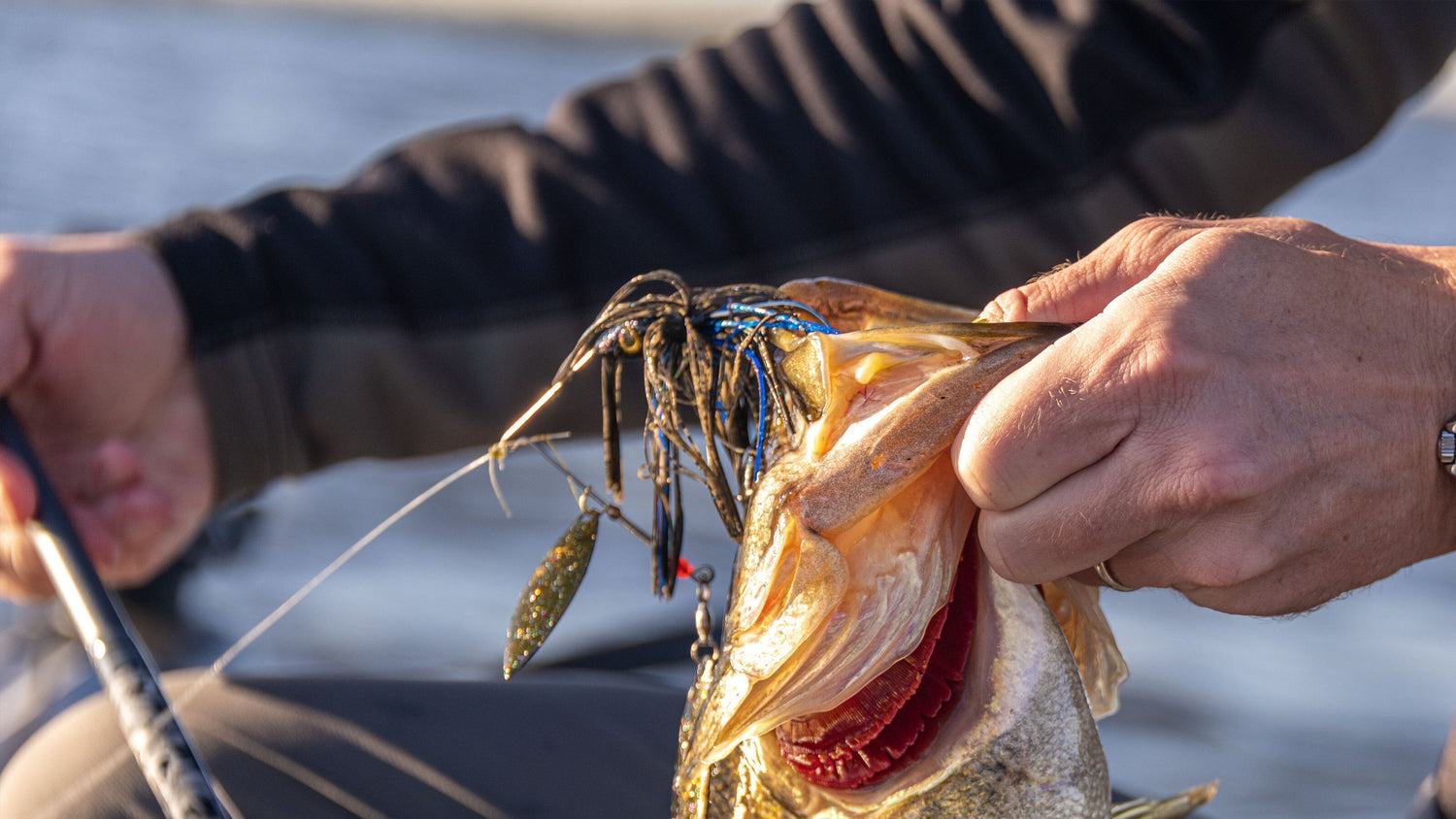 Three Custom Rods. Three Baits. More Fish.