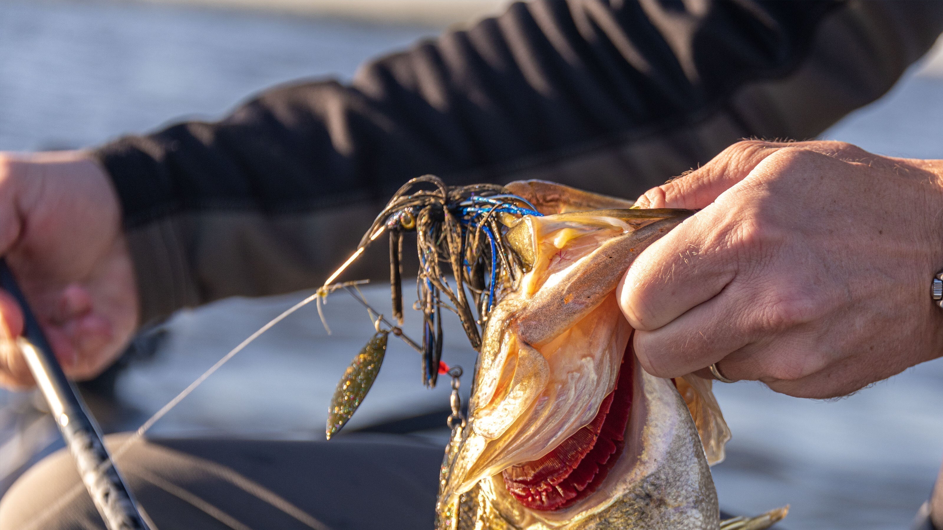 Three Custom Rods. Three Baits. More Fish.