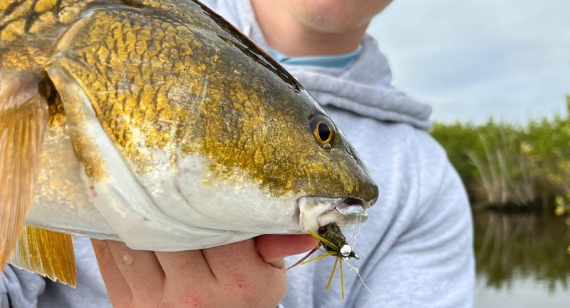 Tackling the Space Coast