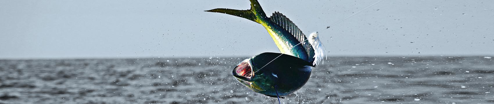 Phenix Black Diamond Rod Blanks