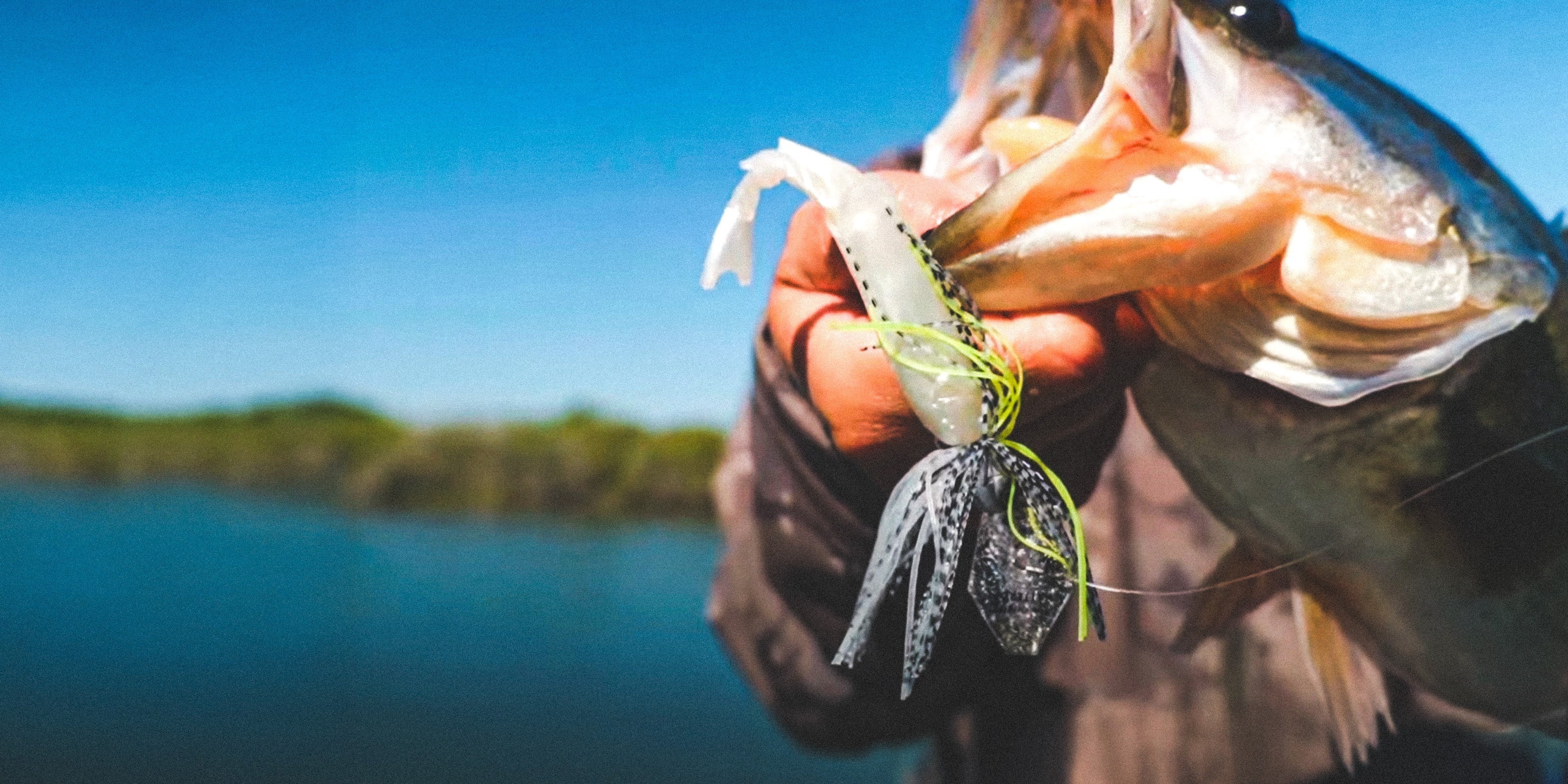 Bladed Fishing Lures - Spinnerbaits, Chatterbaits & Buzzbaits
