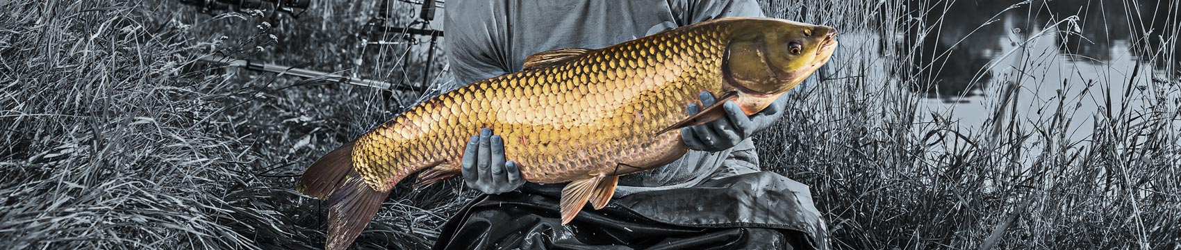 MHX Bushido Rod Blanks