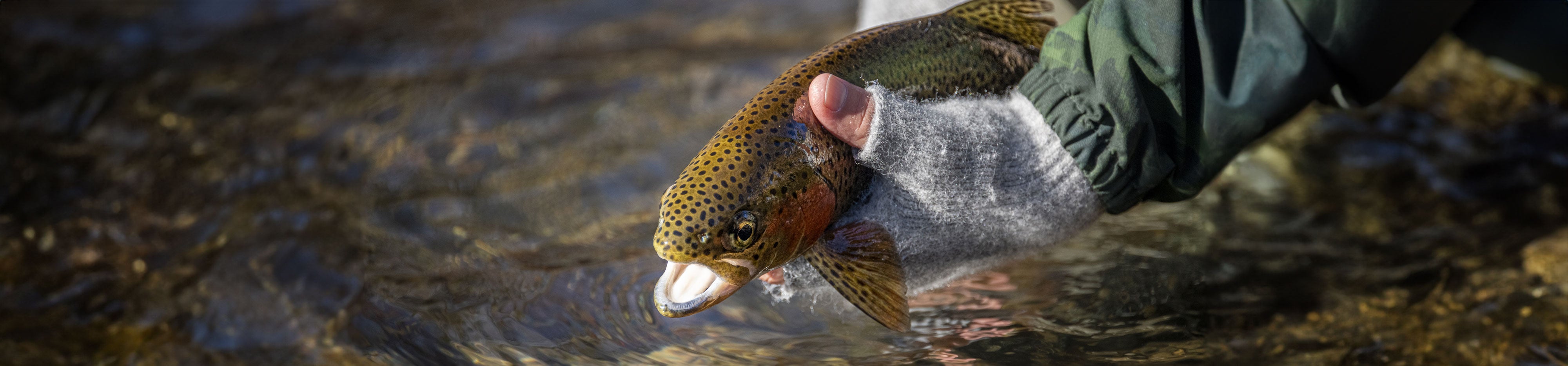 Fly Fishing Rod Blanks for Rod Building