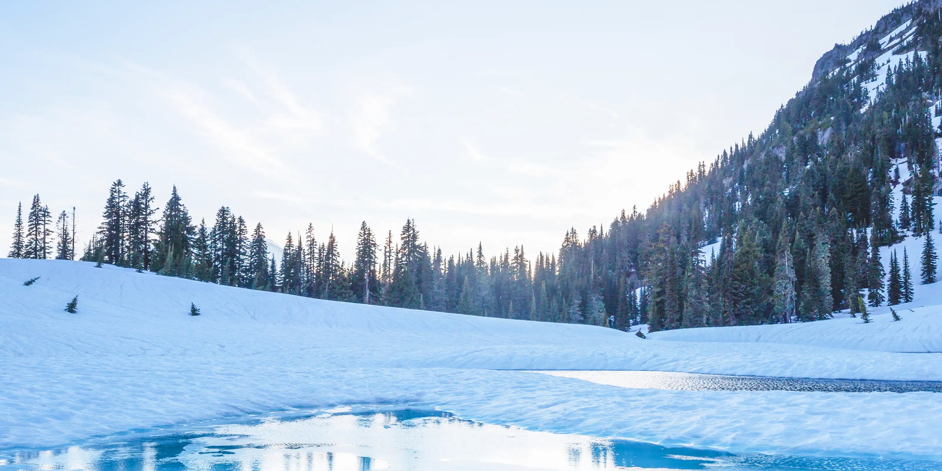 Ice Rod Blanks, Kits & Components