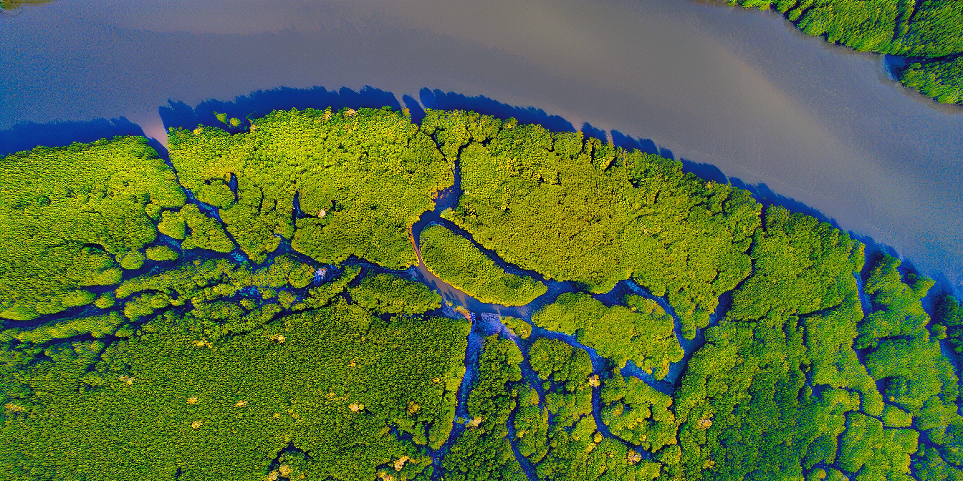 Inshore Fishing Rod Blanks for Rod Building