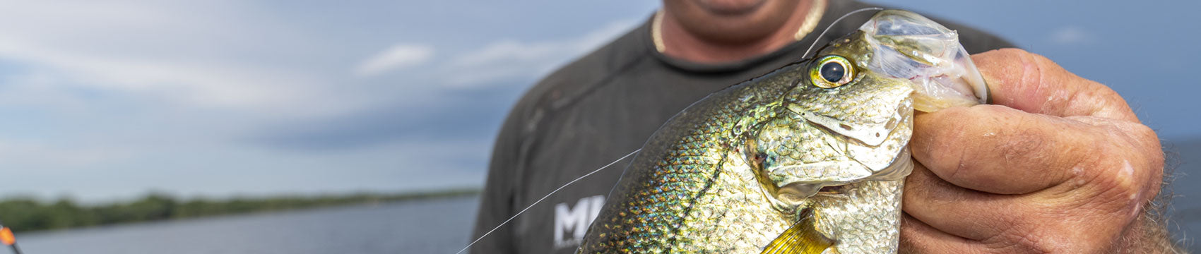 Live #081: Another Crappie Show