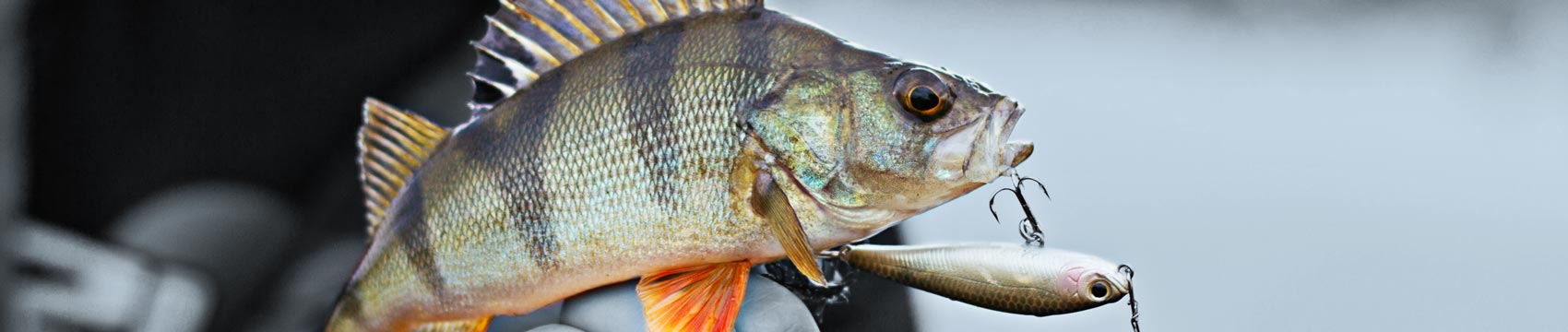 Phenix Mirage Ultra Light Rod Blanks