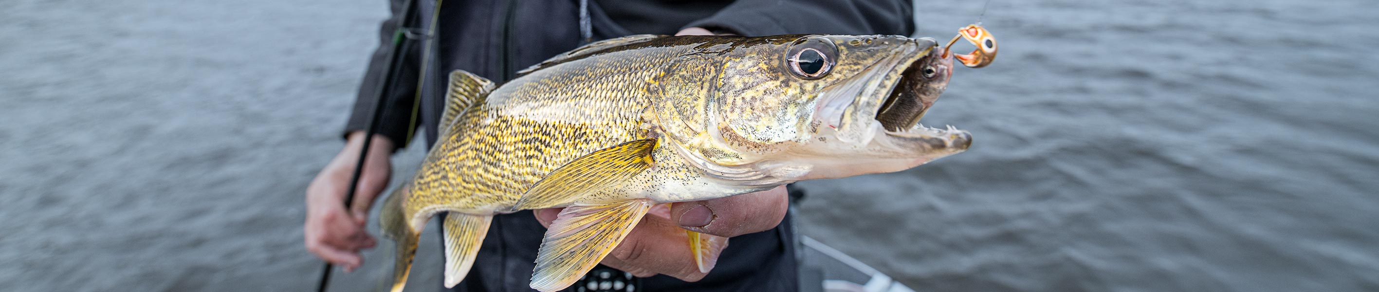 MHX Elite Pro 2-Piece Rod Blanks