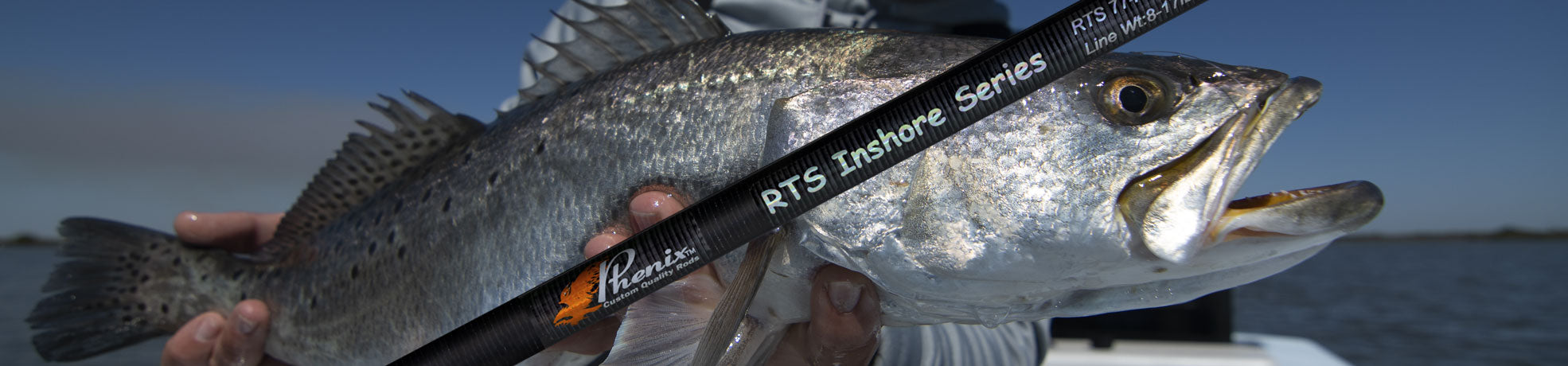 Phenix RTS Inshore Rod Blanks