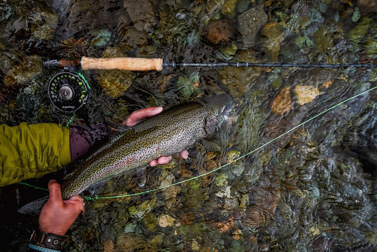 Sage Fly Rod Blanks for Rod Building