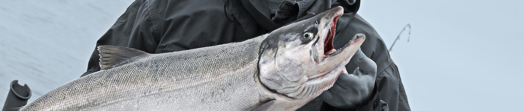 MHX Salmon Rod Blanks