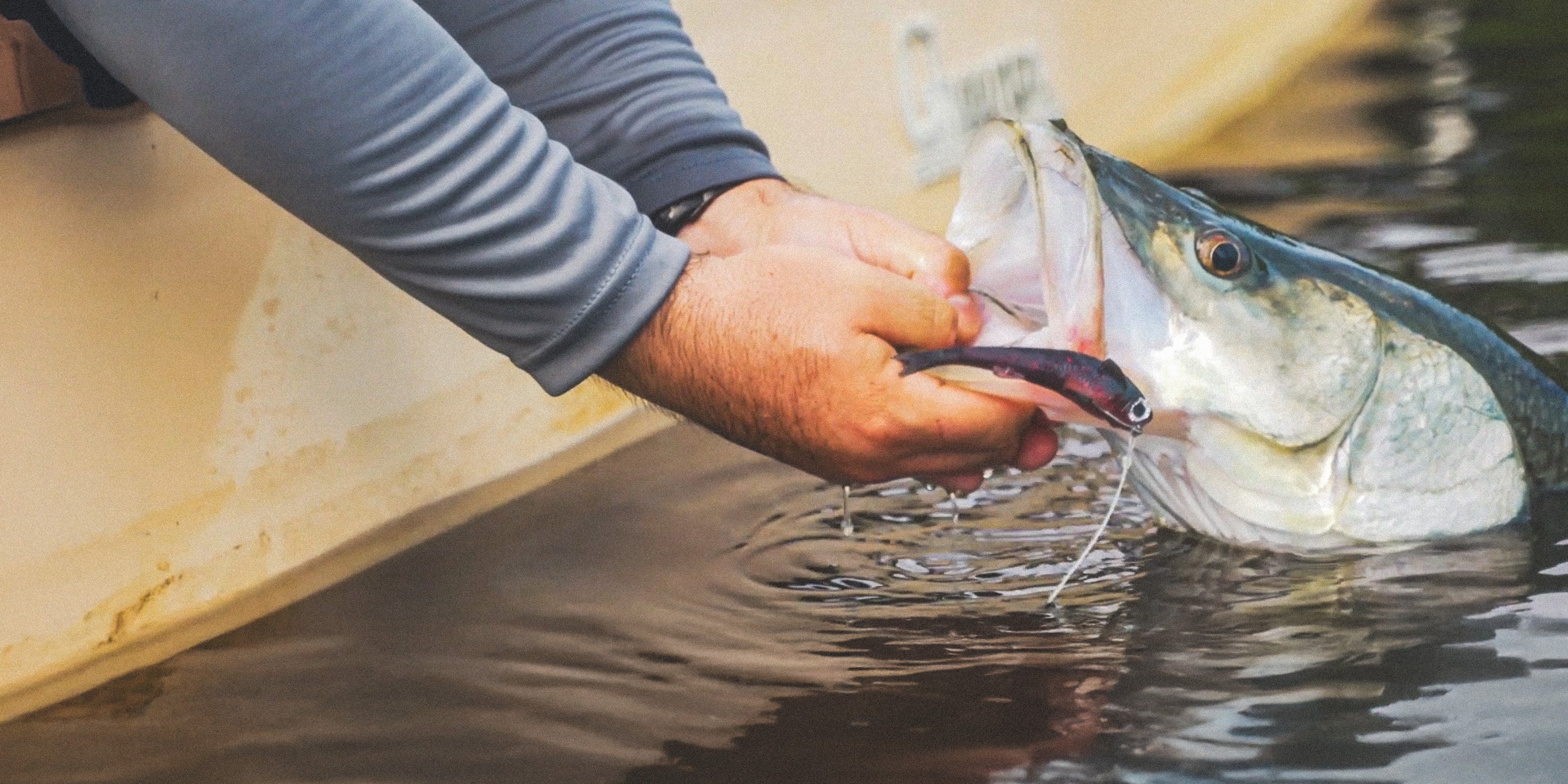 Soft Jerkbaits for Fishing - Flukes & Darting Baits