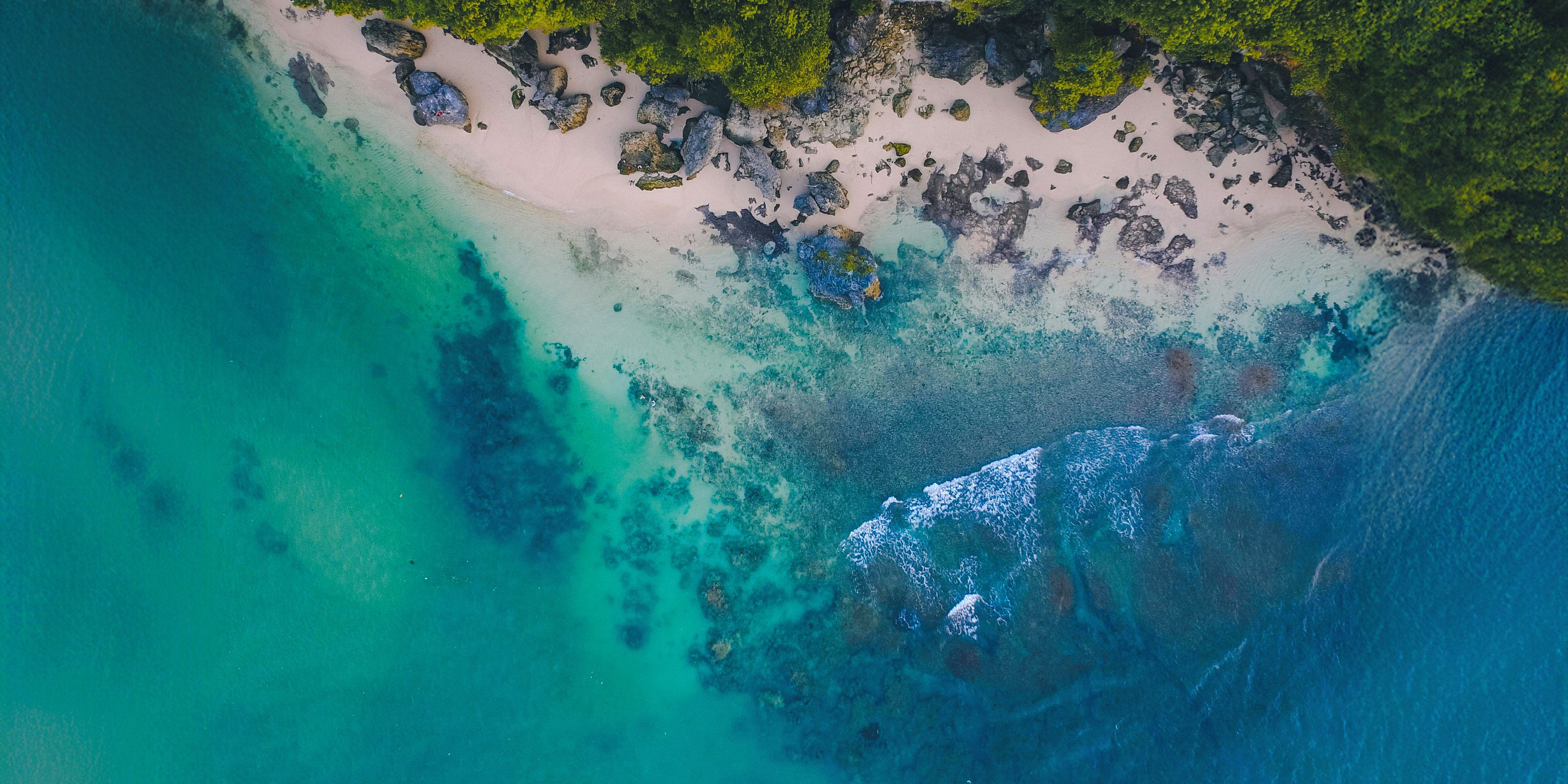 Surf & Inlet Fishing Rod Blanks for Rod Building