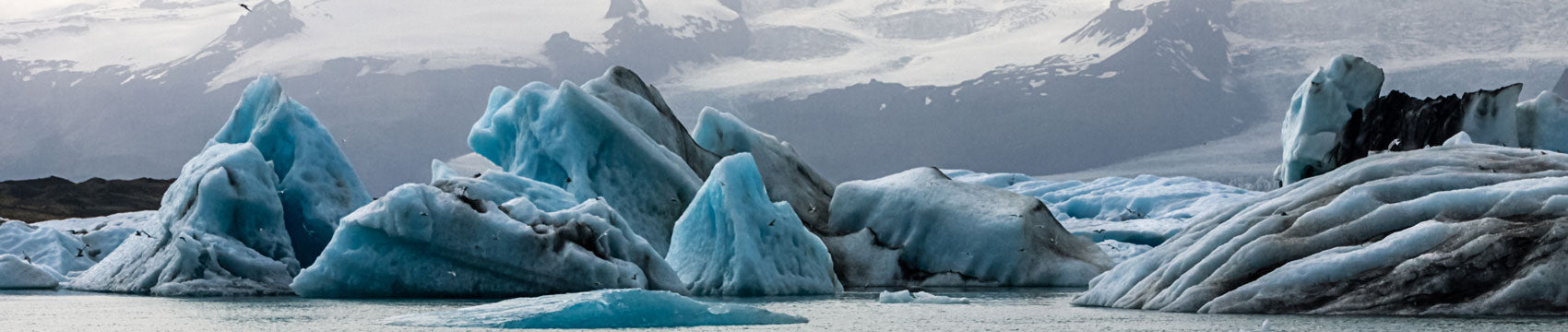 V-Line Ice Rod Blanks for Rod Building