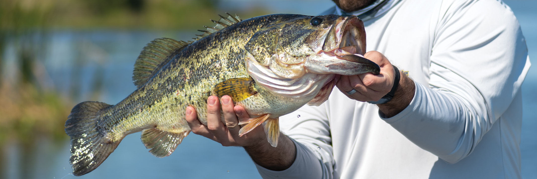 MHX Freshwater Rod Blanks for Rod Building