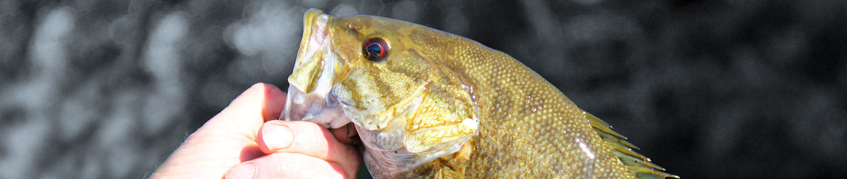 MHX Drop Shot Rod Blanks