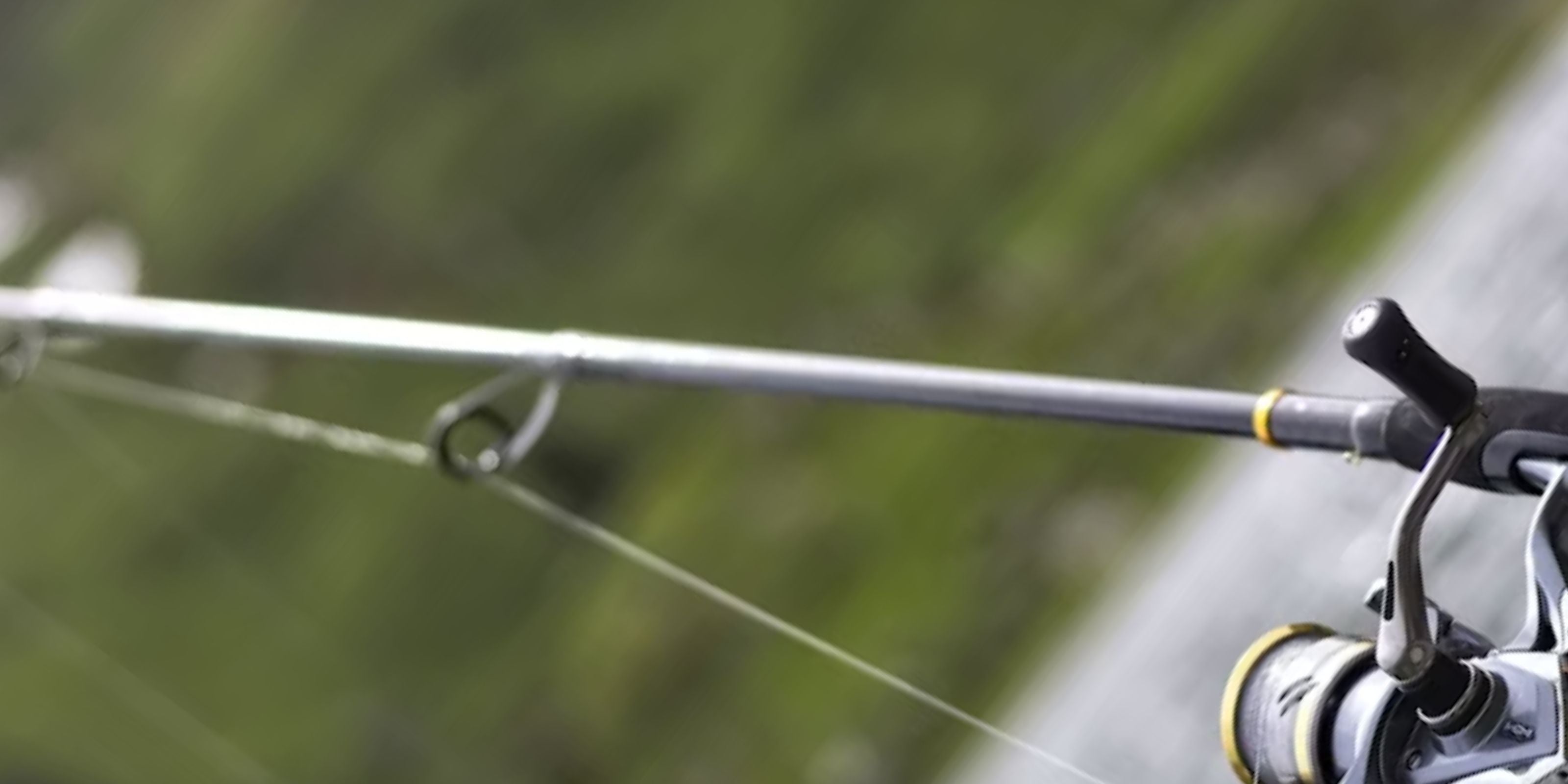 Fishing Rods | Spinning, Casting, Saltwater & Fly Rods