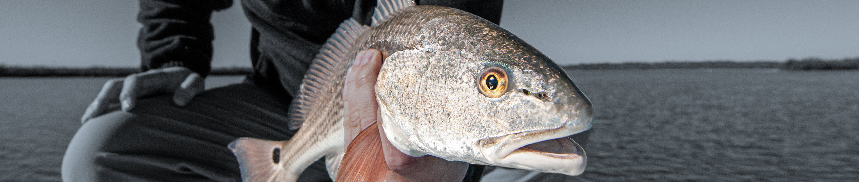 MHX Light Saltwater Rod Blanks