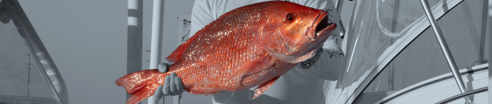 MHX Nearshore Saltwater Rod Blanks