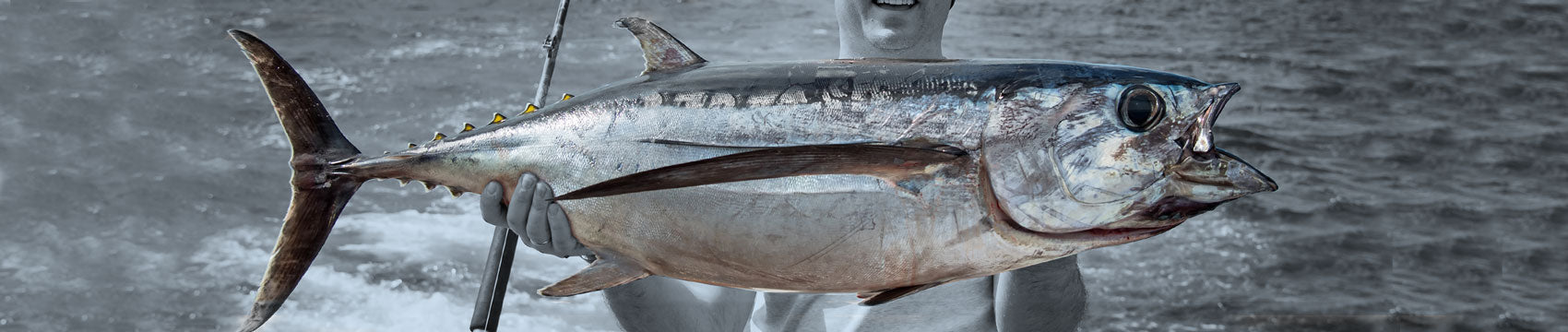 Phenix Axis Saltwater Rod Blanks