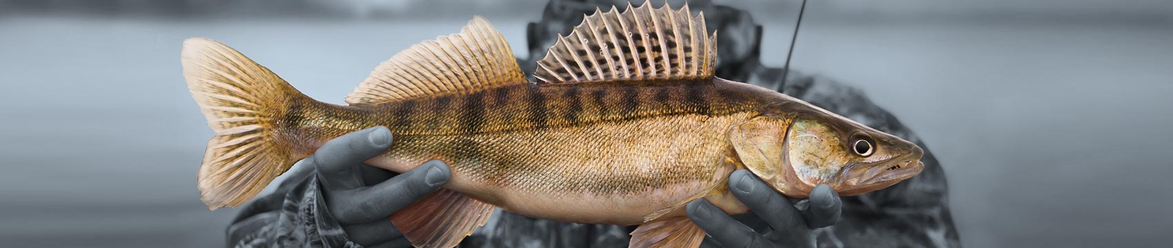 Point Blank Rod Blanks for Rod Building