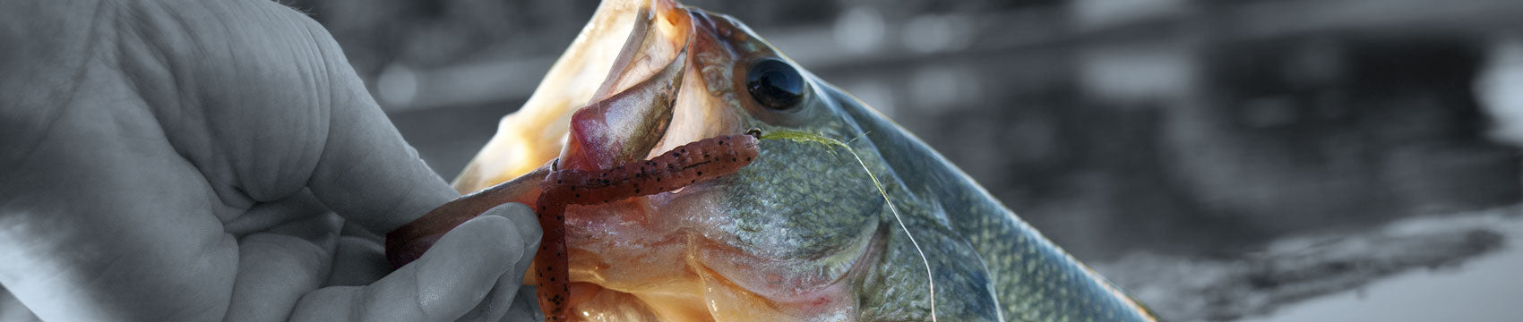 MHX Spin Jig Rod Blanks