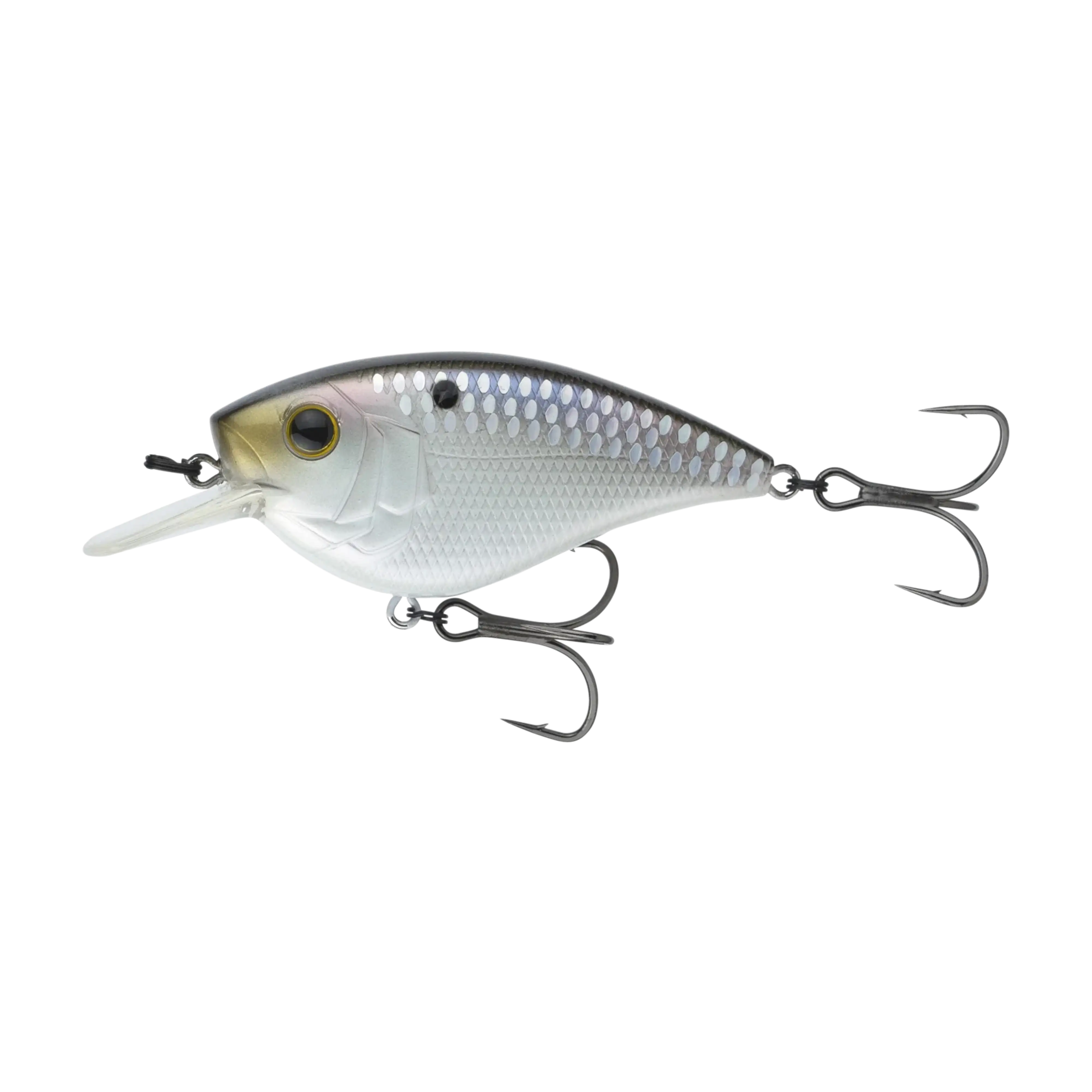 6th Sense Crush Flat 75X Shad Scales