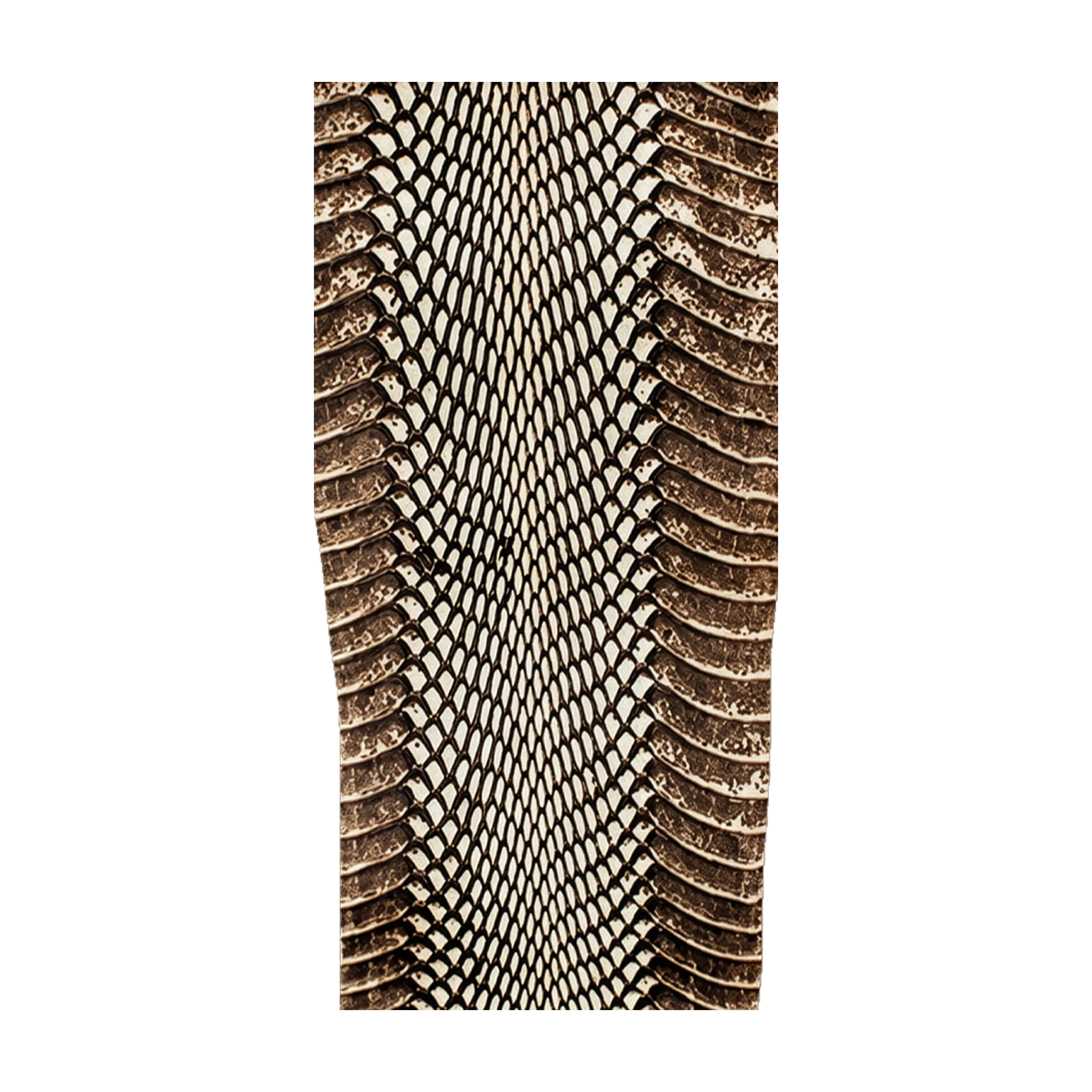 Mud Hole Snake Skins