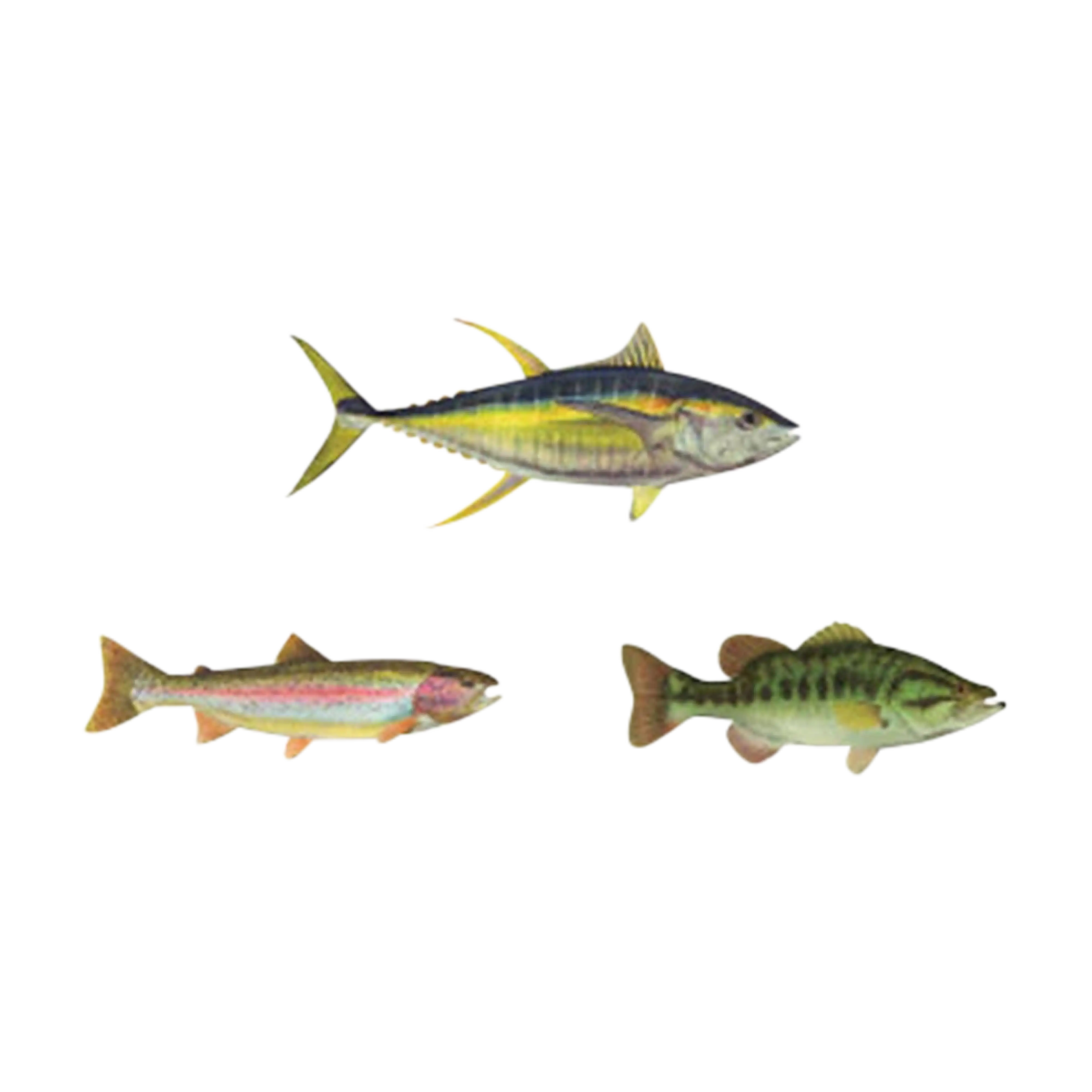 Mud Hole Game Fish Rod Decals