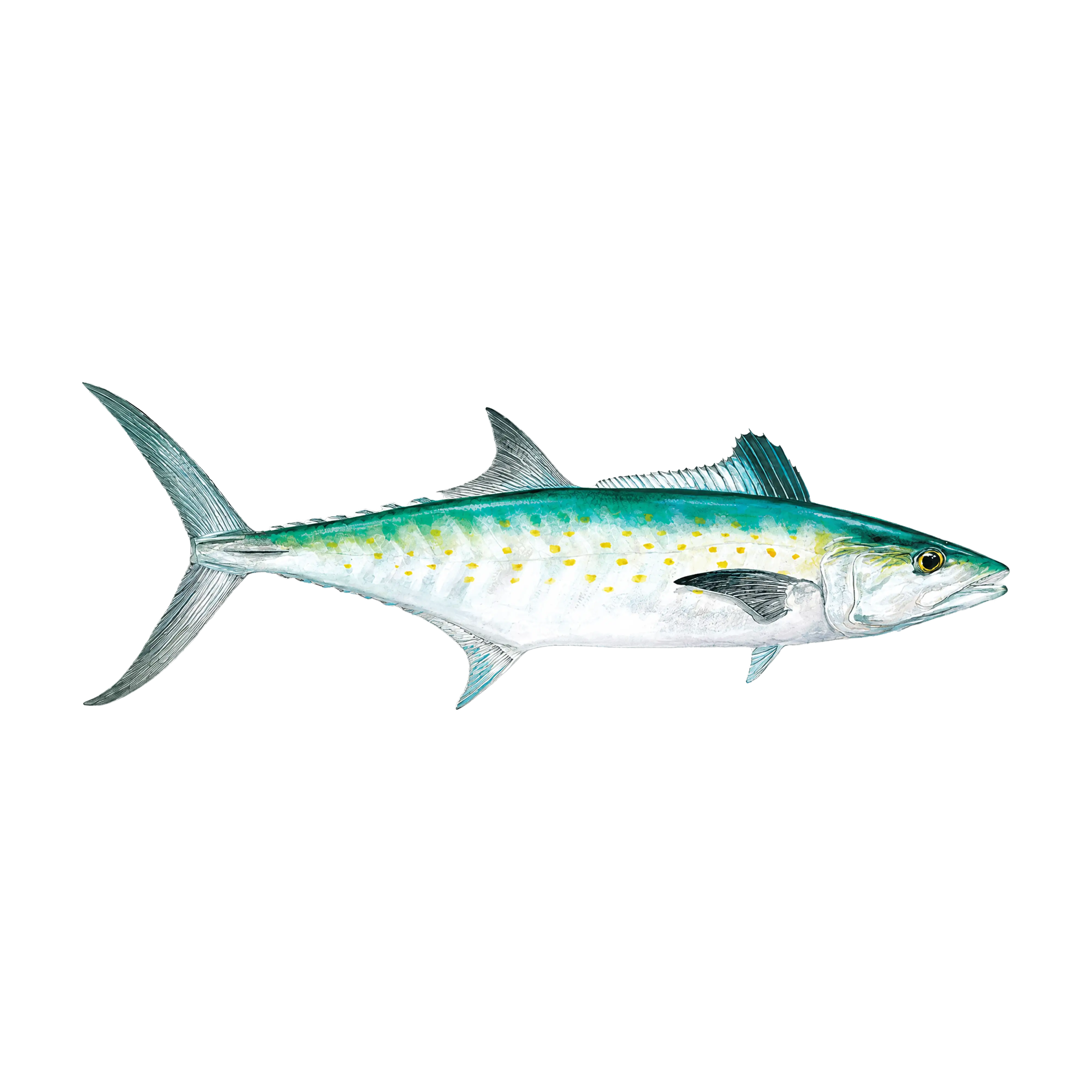 Mud Hole Game Fish Rod Decals