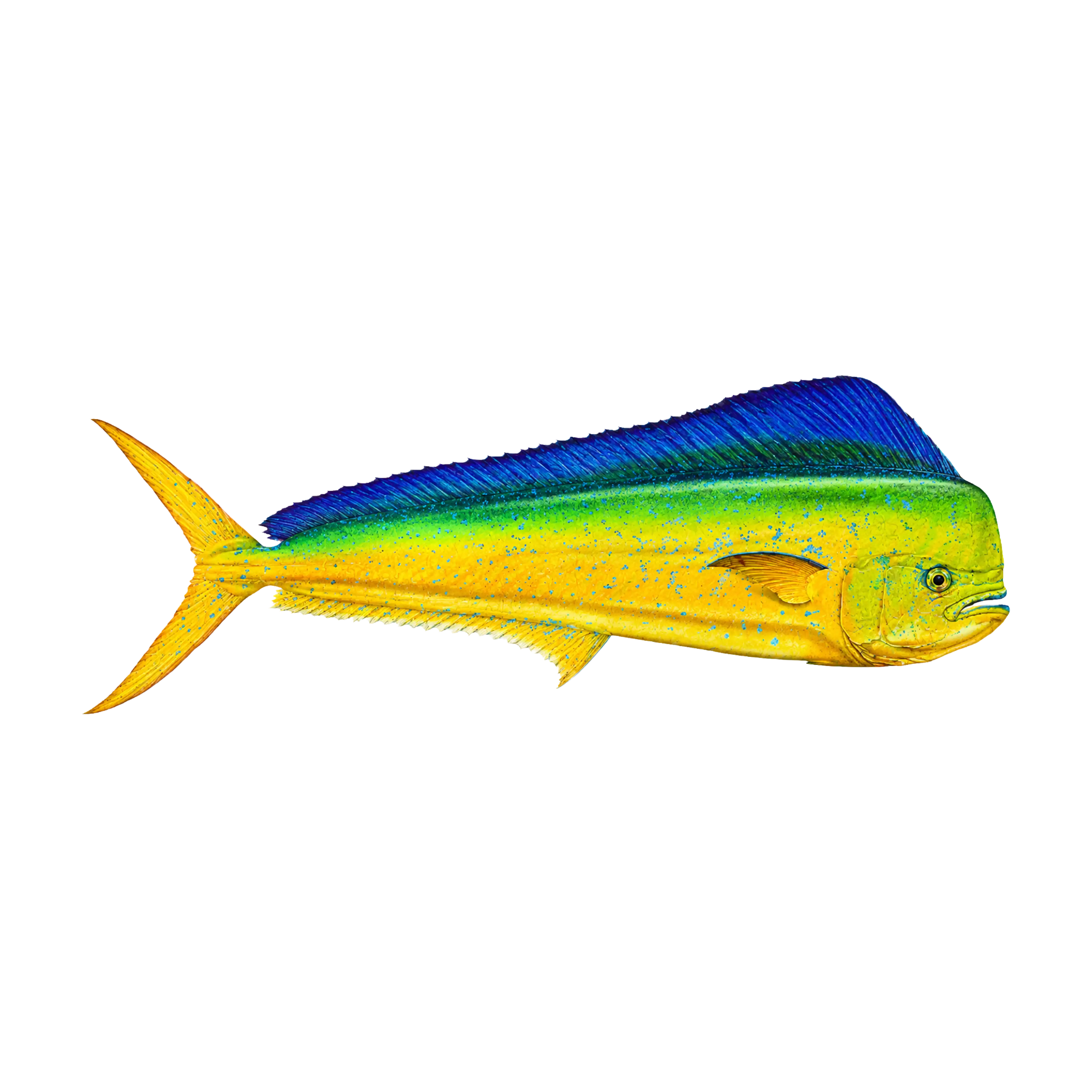 Mud Hole Game Fish Rod Decals