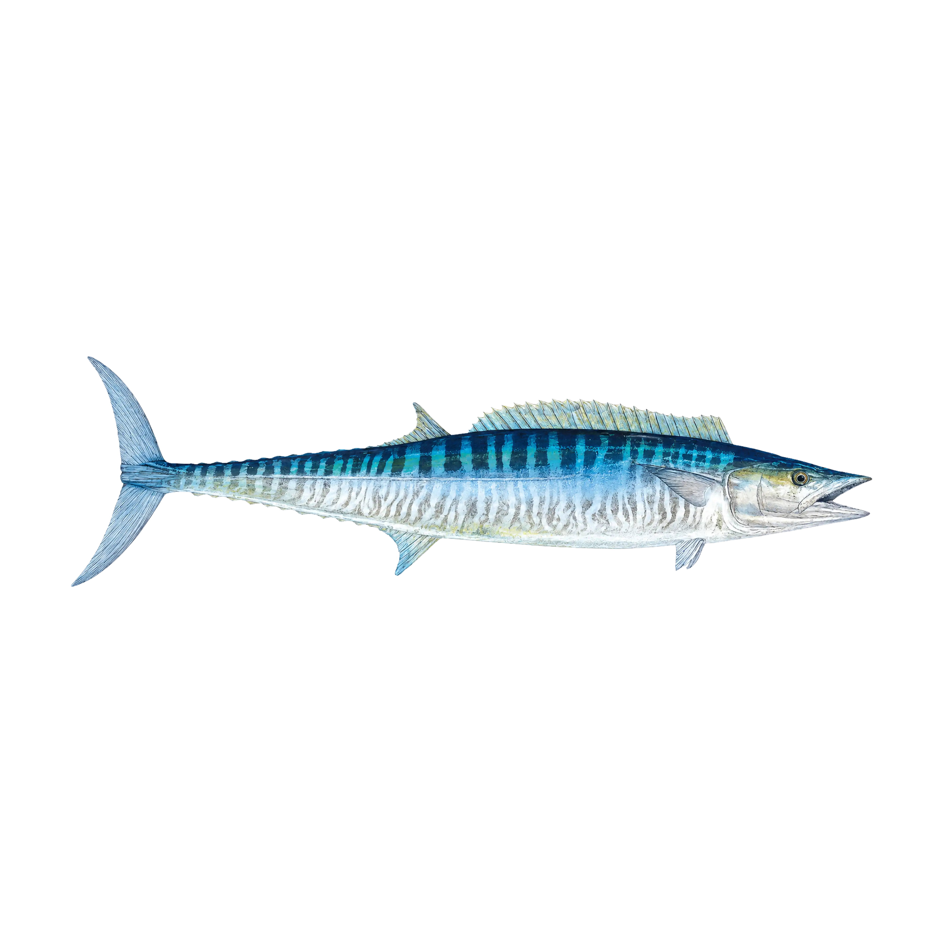 Mud Hole Game Fish Rod Decals