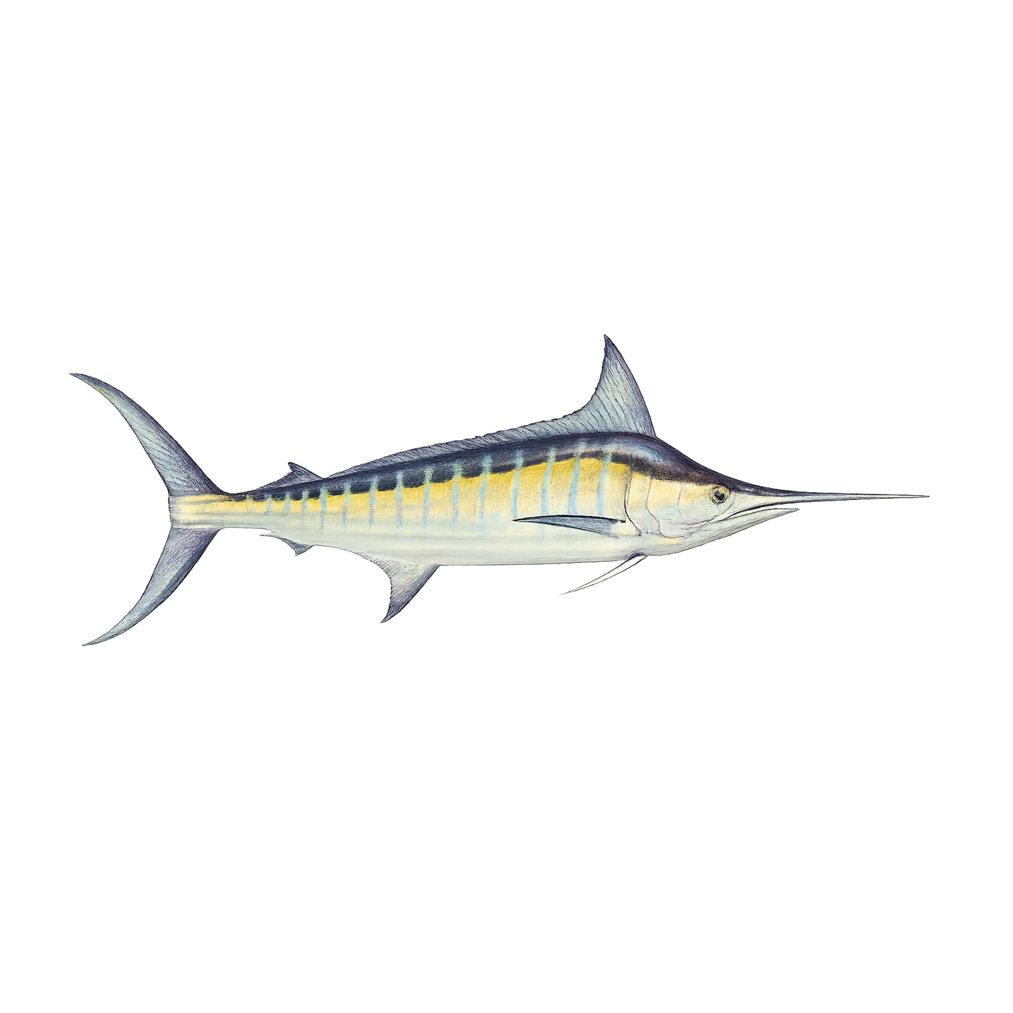 Mud Hole Game Fish Rod Decals
