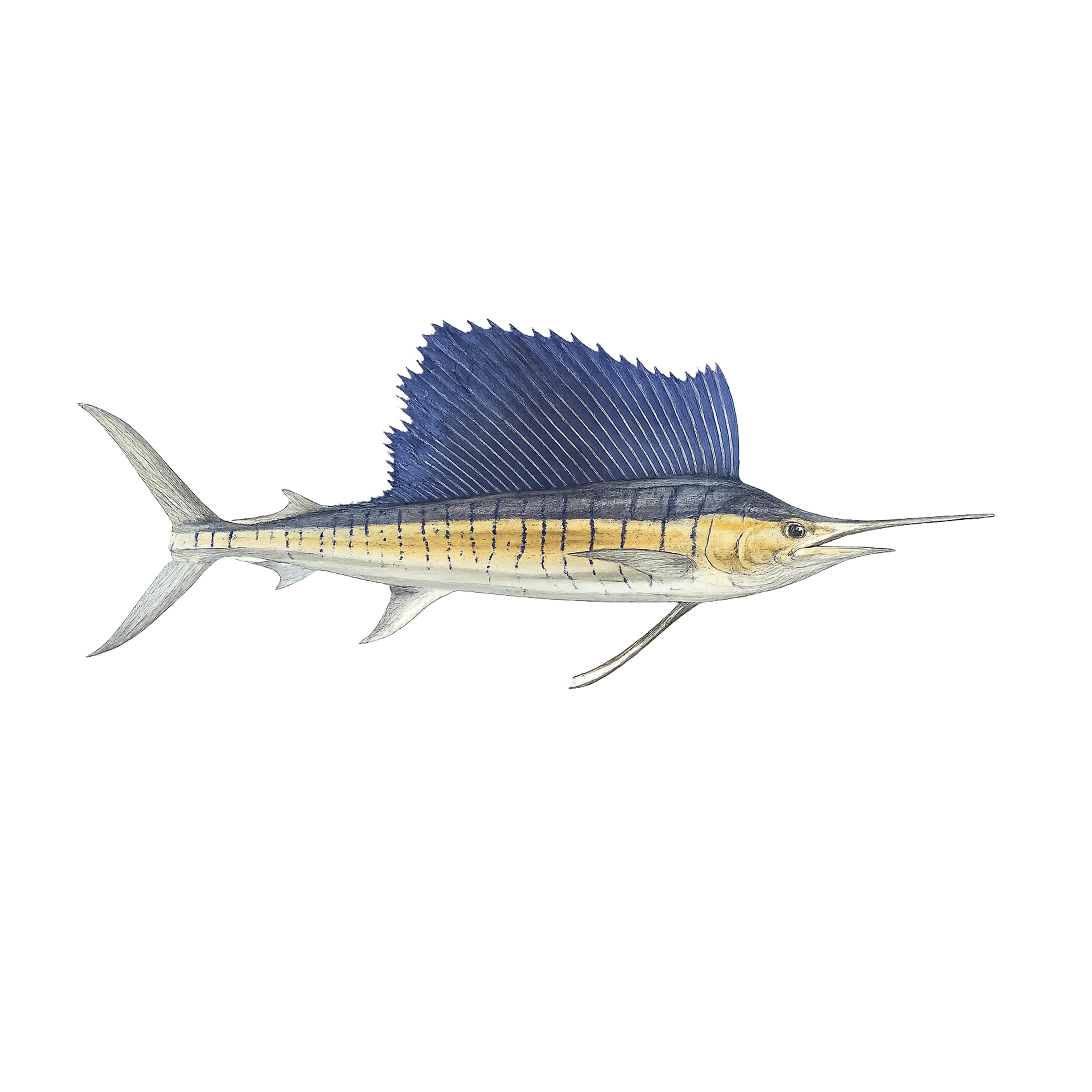 Mud Hole Game Fish Rod Decals