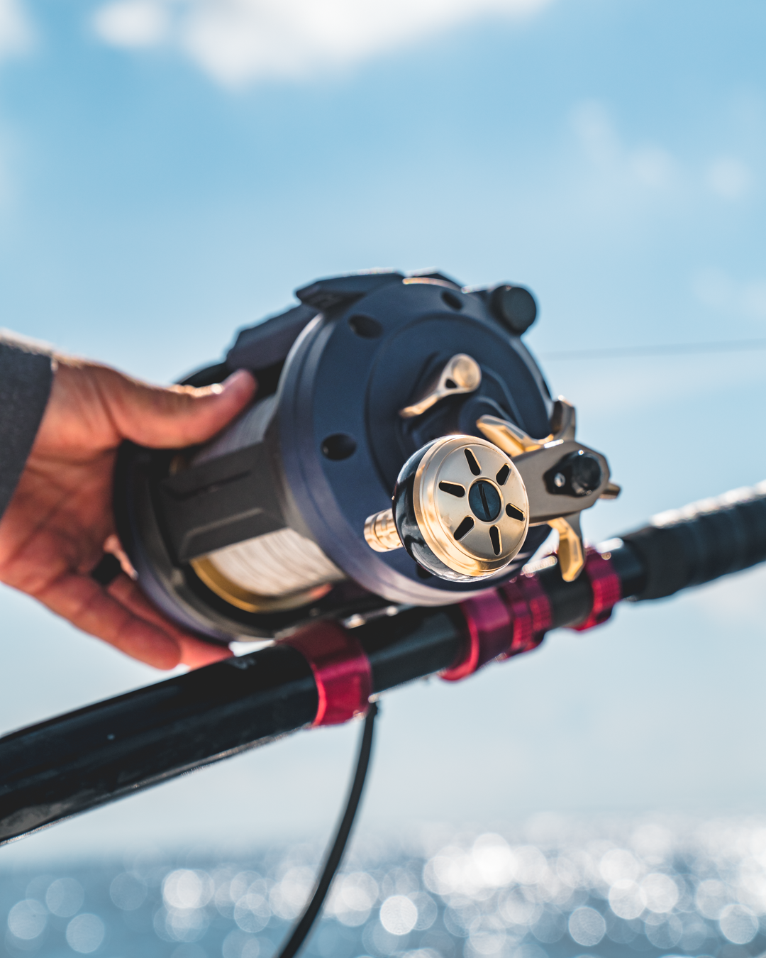 Daiwa Seapower 800 & 1200 Electric Saltwater Reels