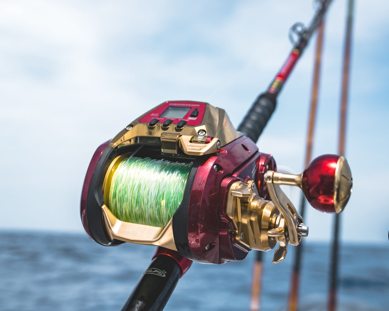 Daiwa Seaborg Electric Saltwater Reels