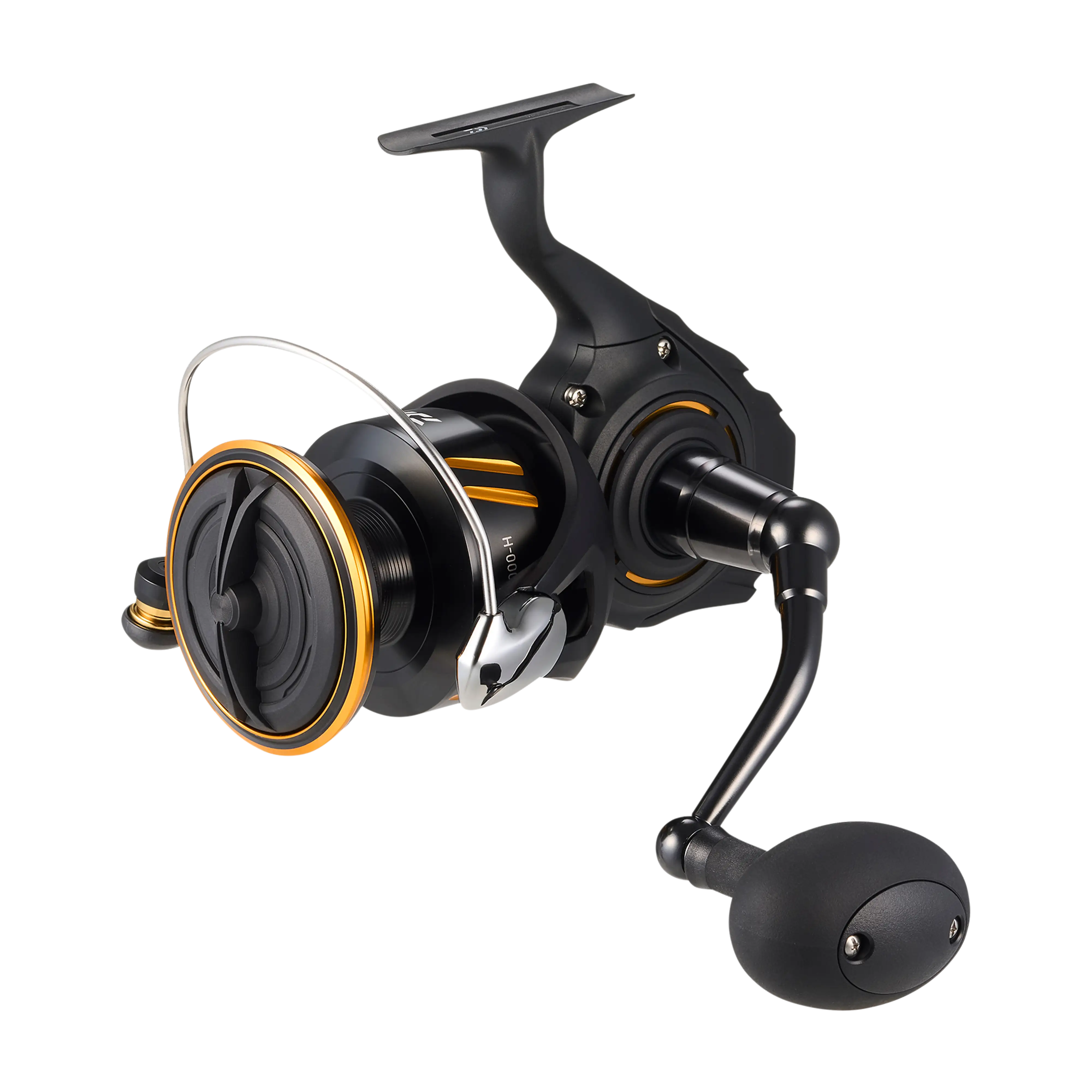 Daiwa BG SW Spinning Reels