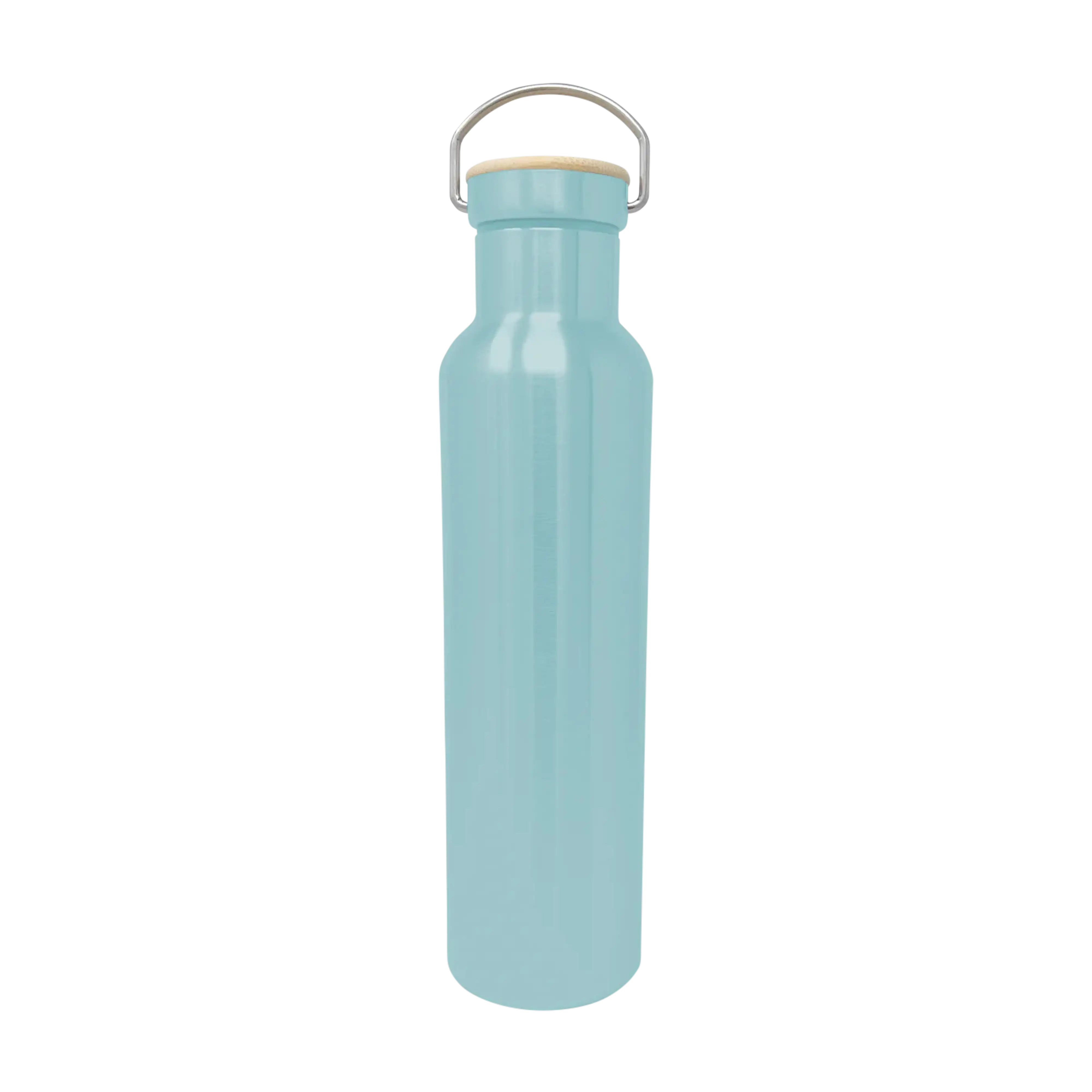 Engel 25oz Stainless Steel Water Bottles - Color Collection