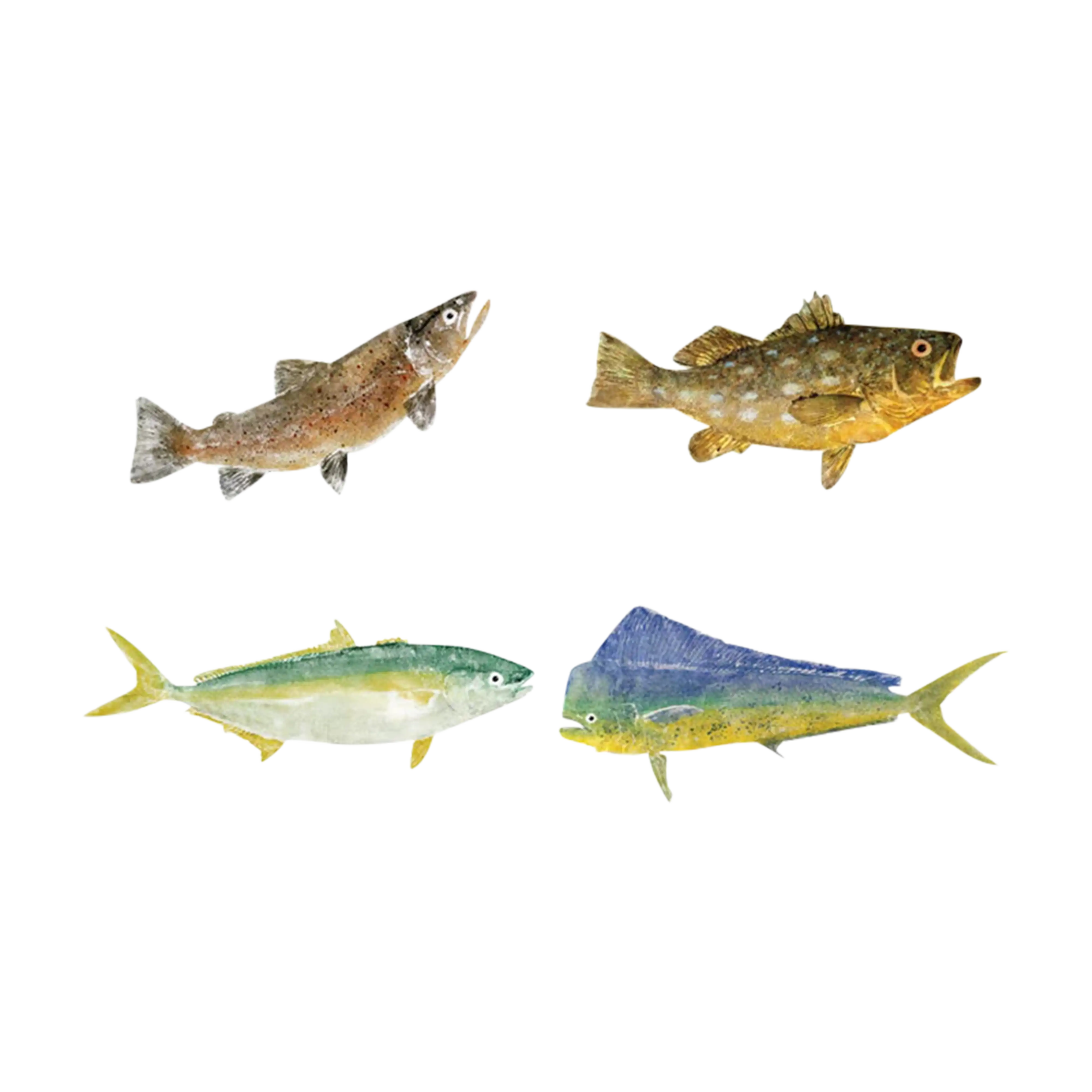 Mud Hole Japanese Gyotaku Fish Art Decals by Marshall Madruga