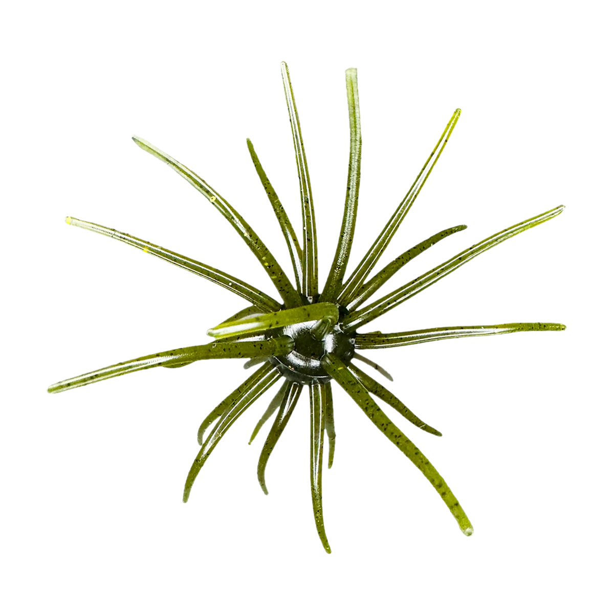 Hag's Baits Prickly Pear