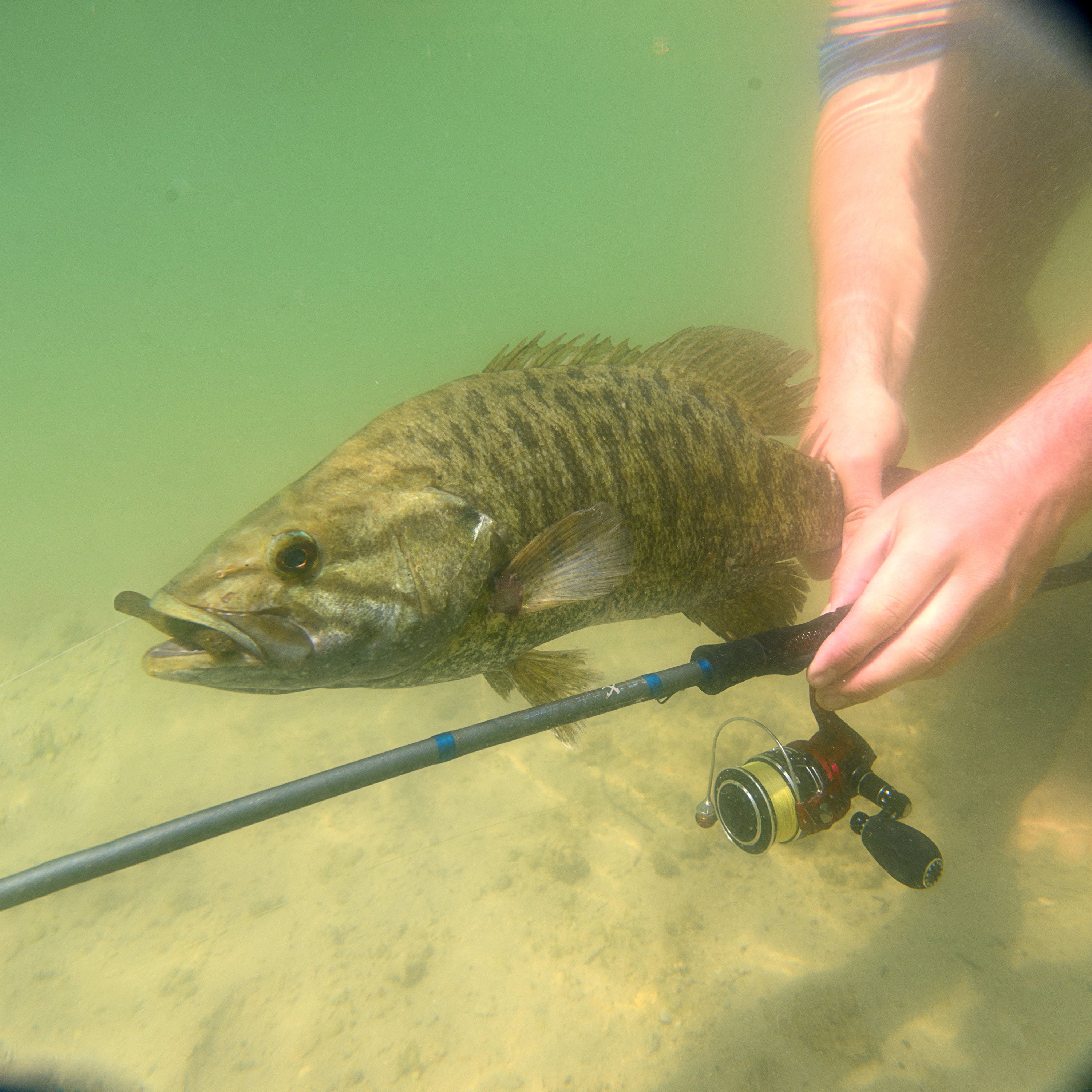 Matt Stefan 7'3" Med-Light Hover Rig Spinning Rod Kit