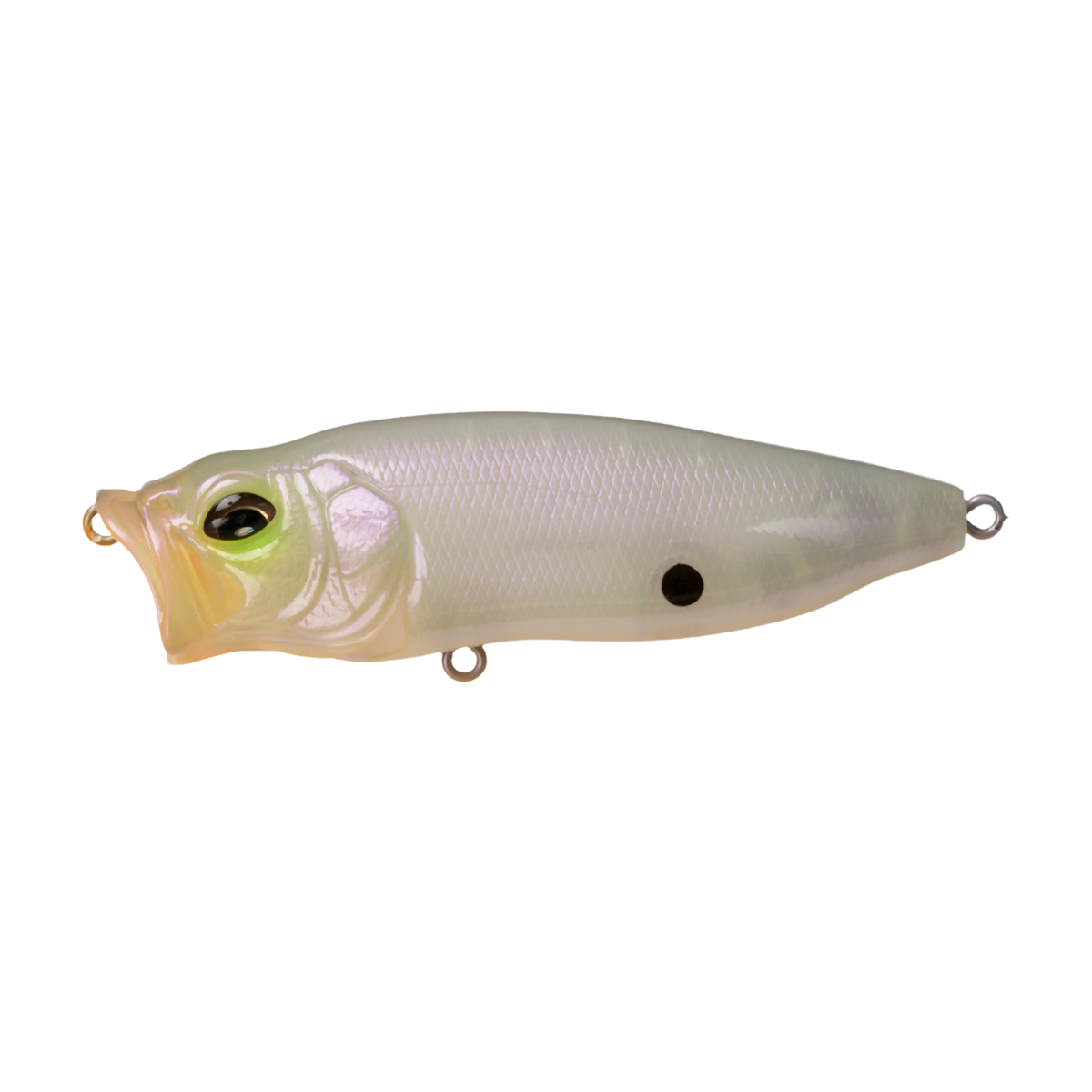 Megabass PopMax Topwater