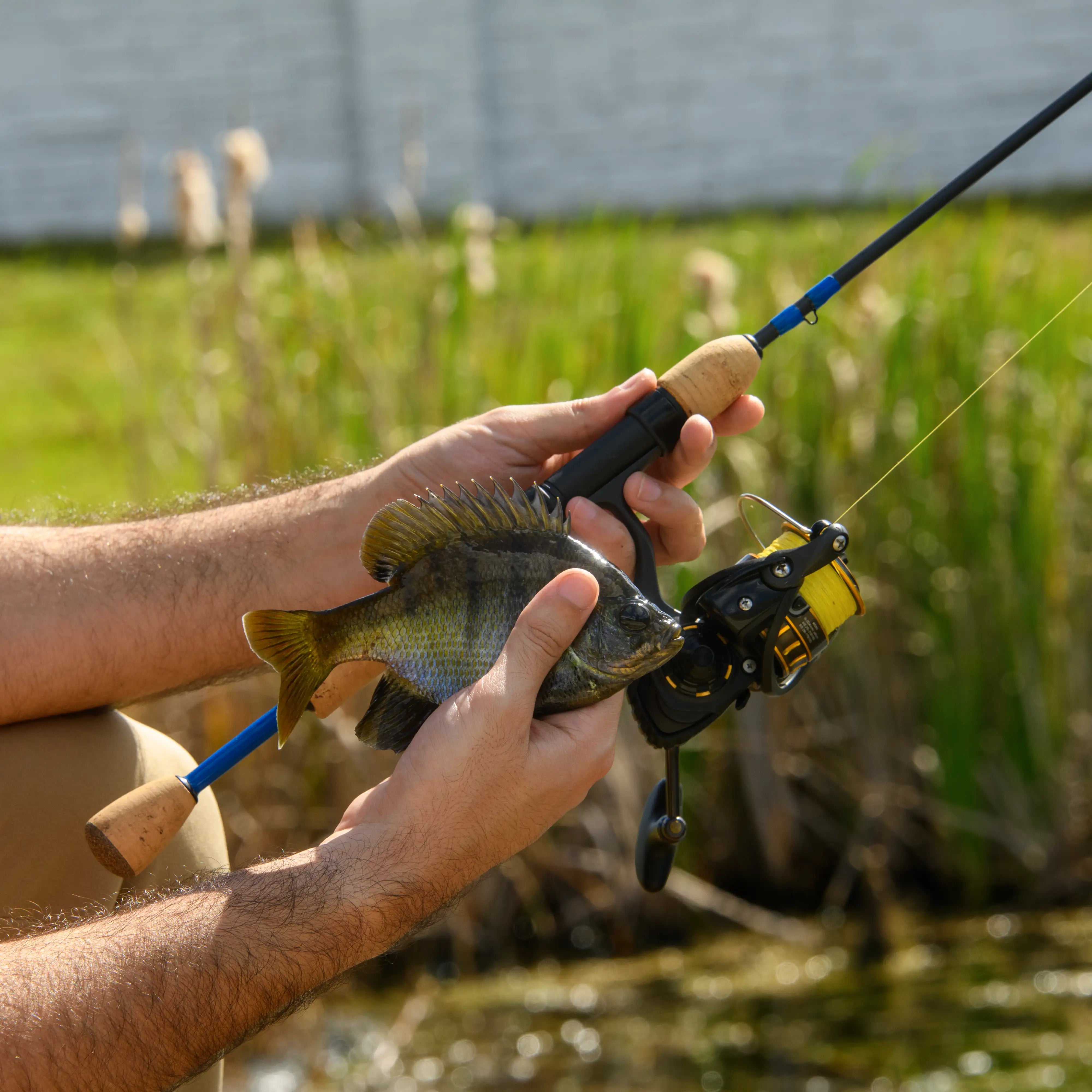 Crappie, Panfish & Trout Spinning Kits