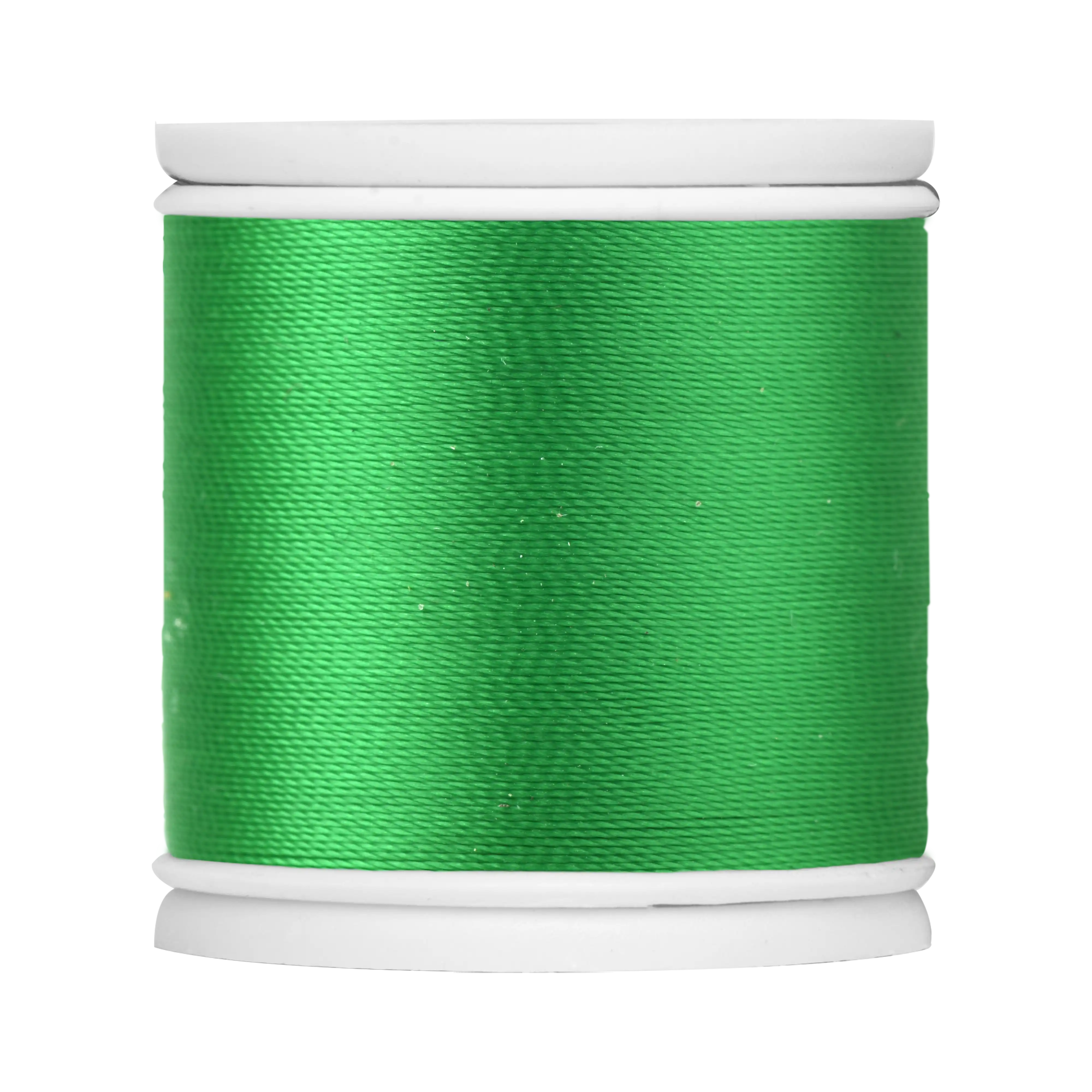 #color_519 rainforest