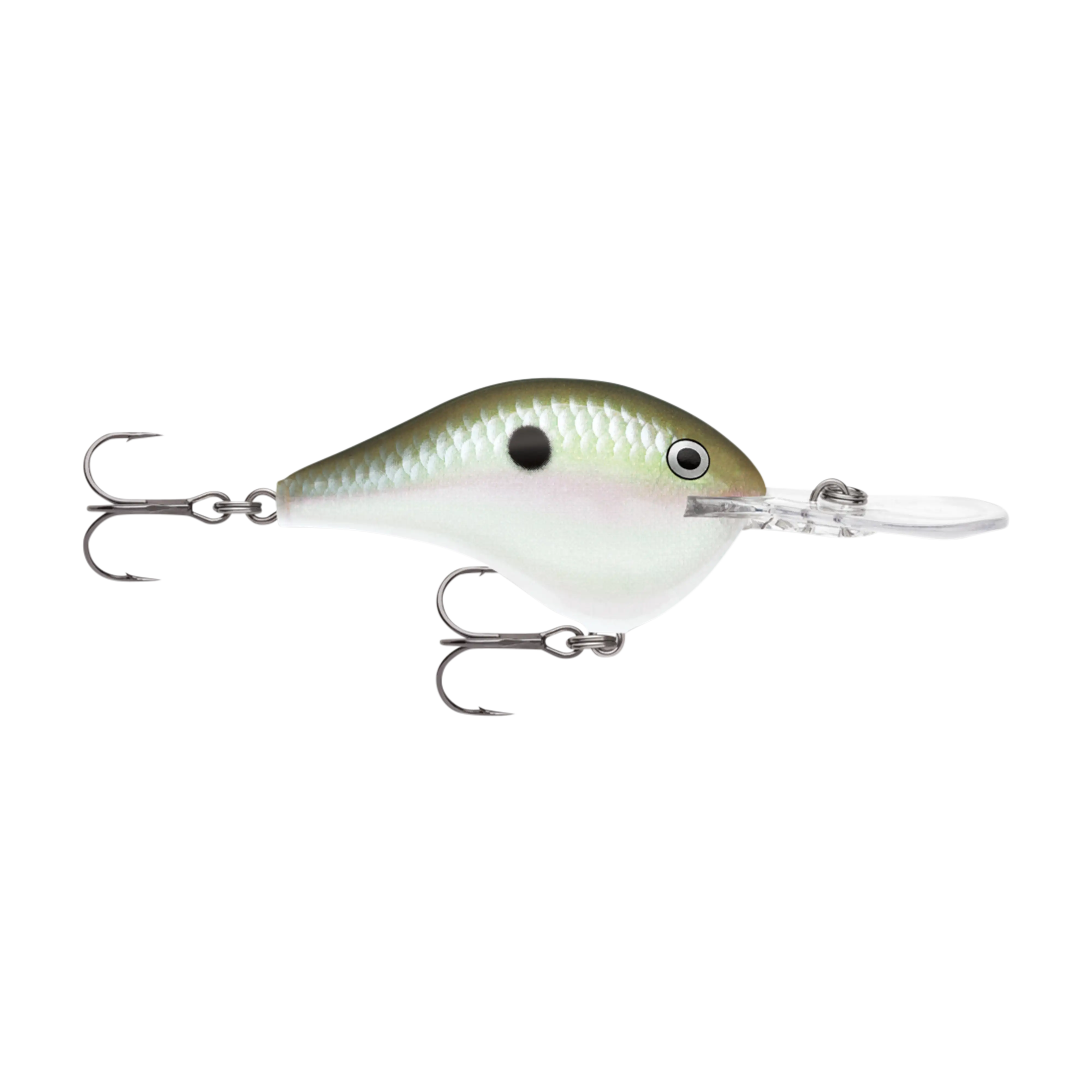 Rapala DT10 Series Crankbaits