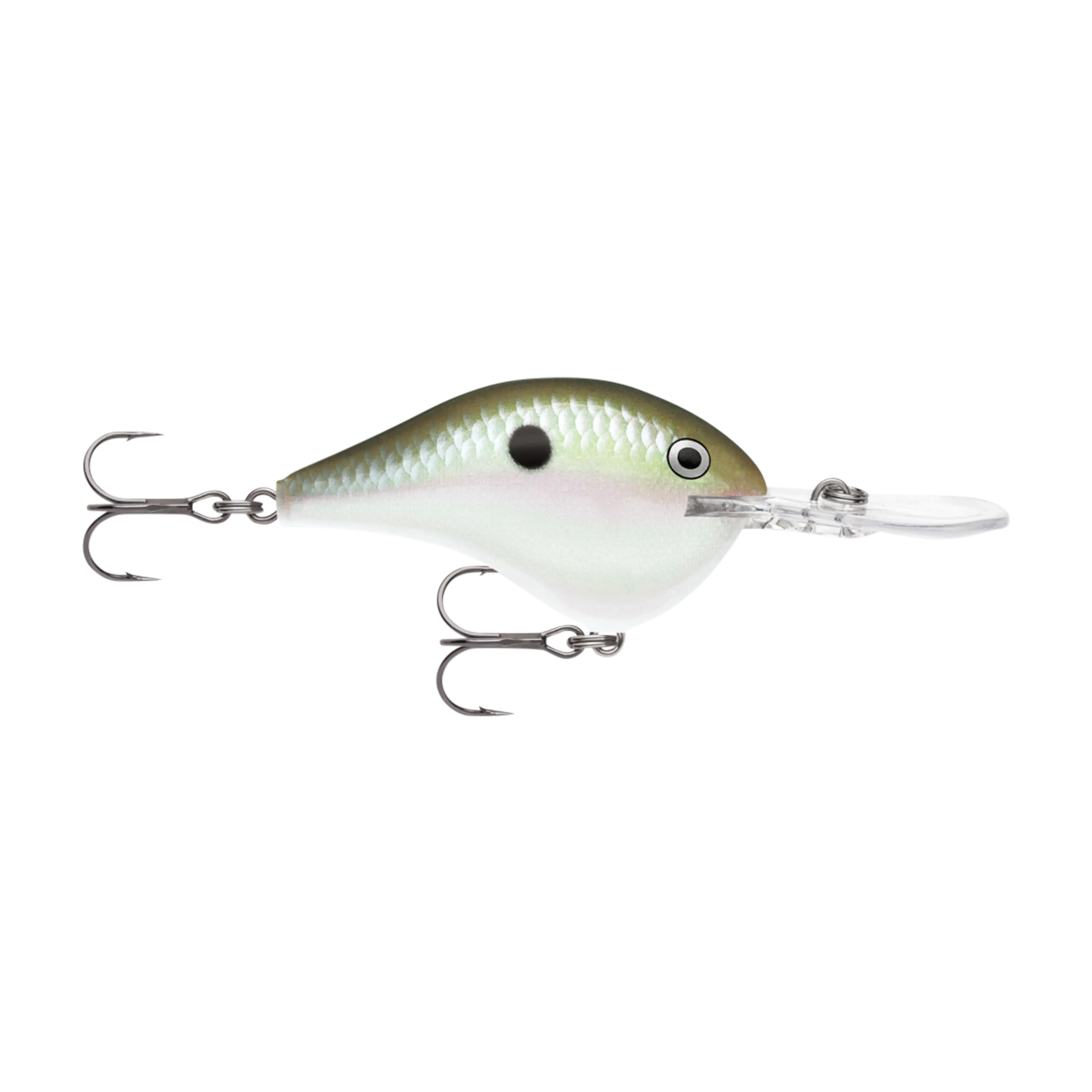 Rapala DT16 Series Crankbaits